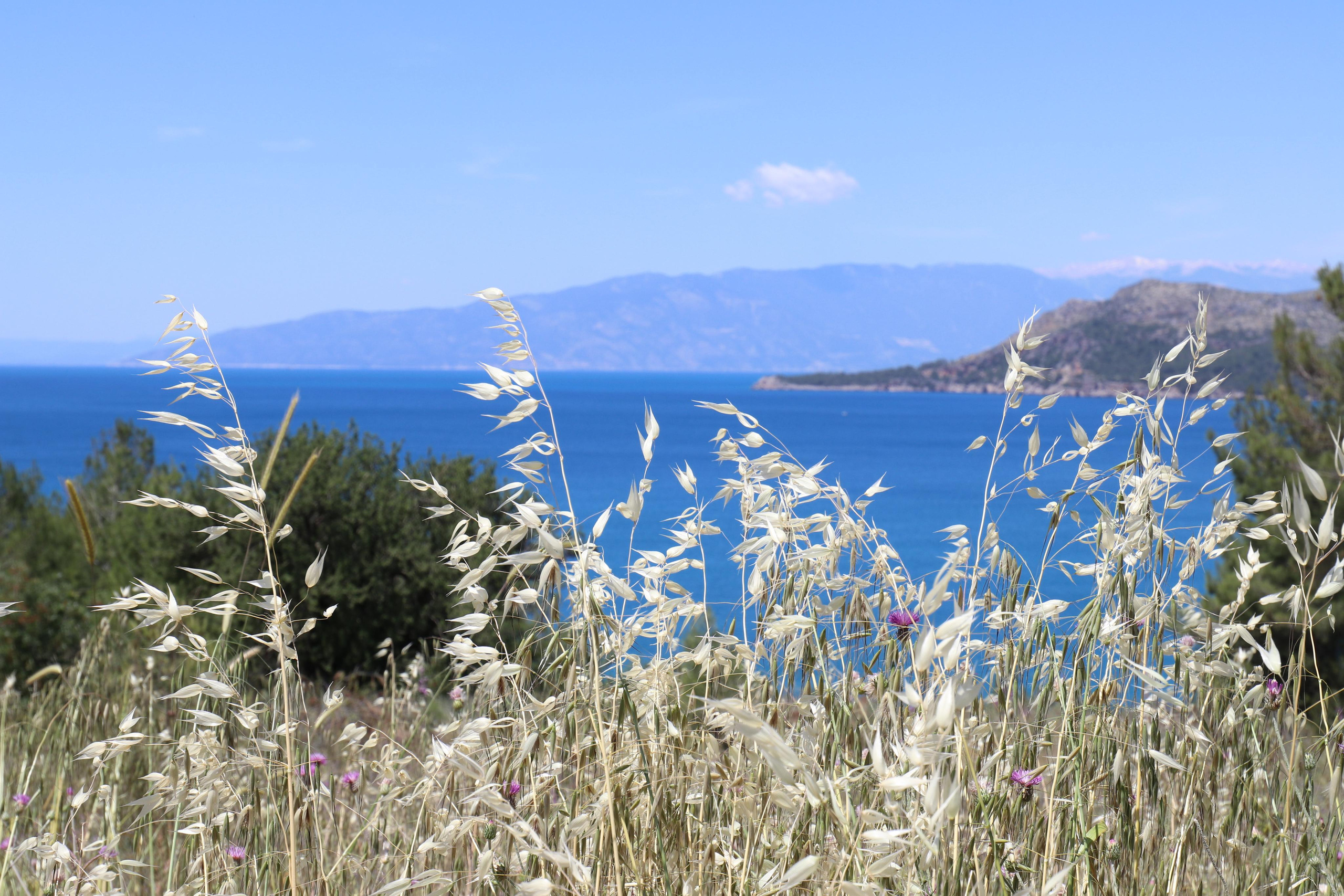 Турция. Чиралы. Май 2022 года. Путешественник-фотограф из Санкт-Петербурга Татьяна Свистулина