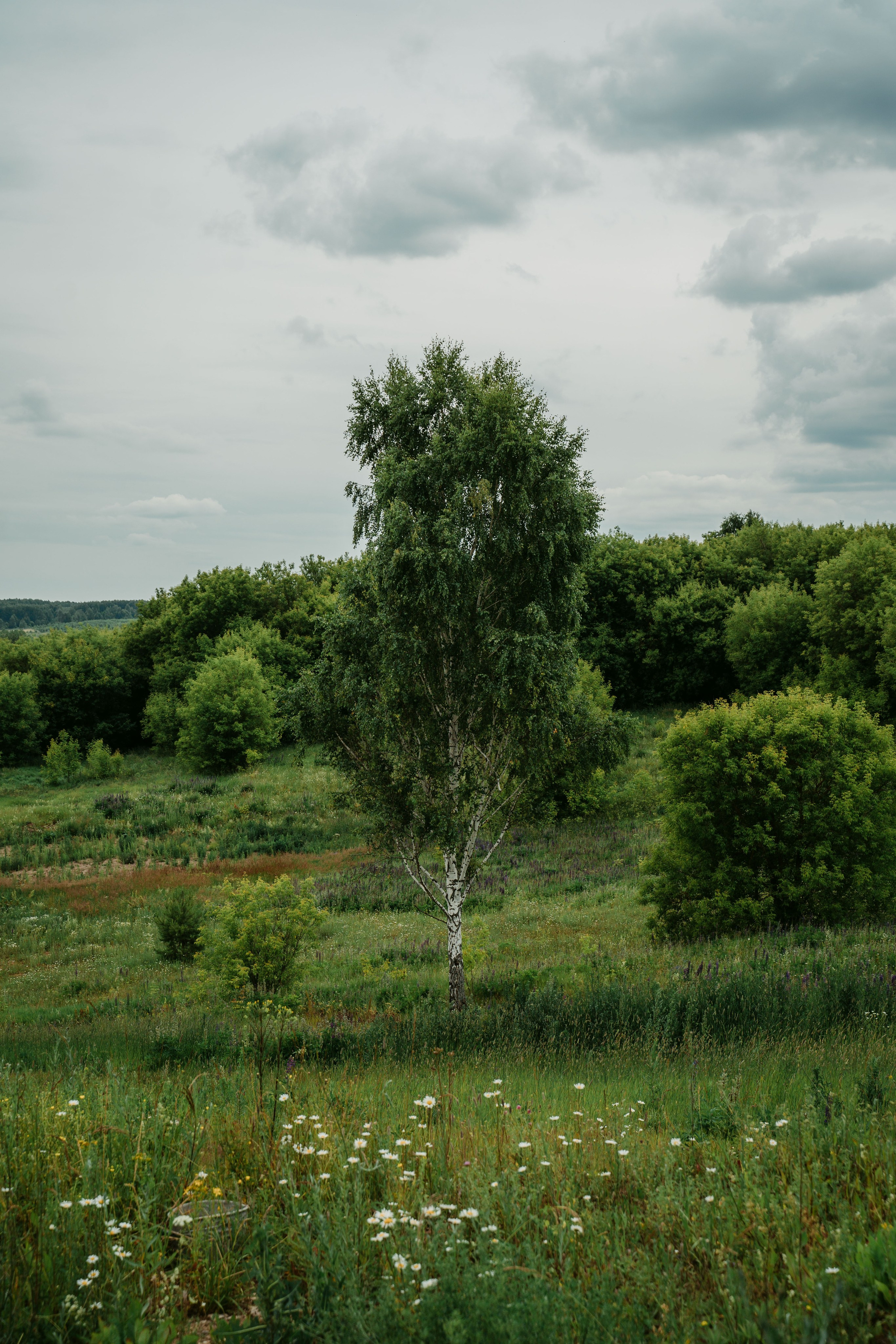 Гектария. Встреча лидеров мнений / 2023. Саша Копылов, фотограф в Казани