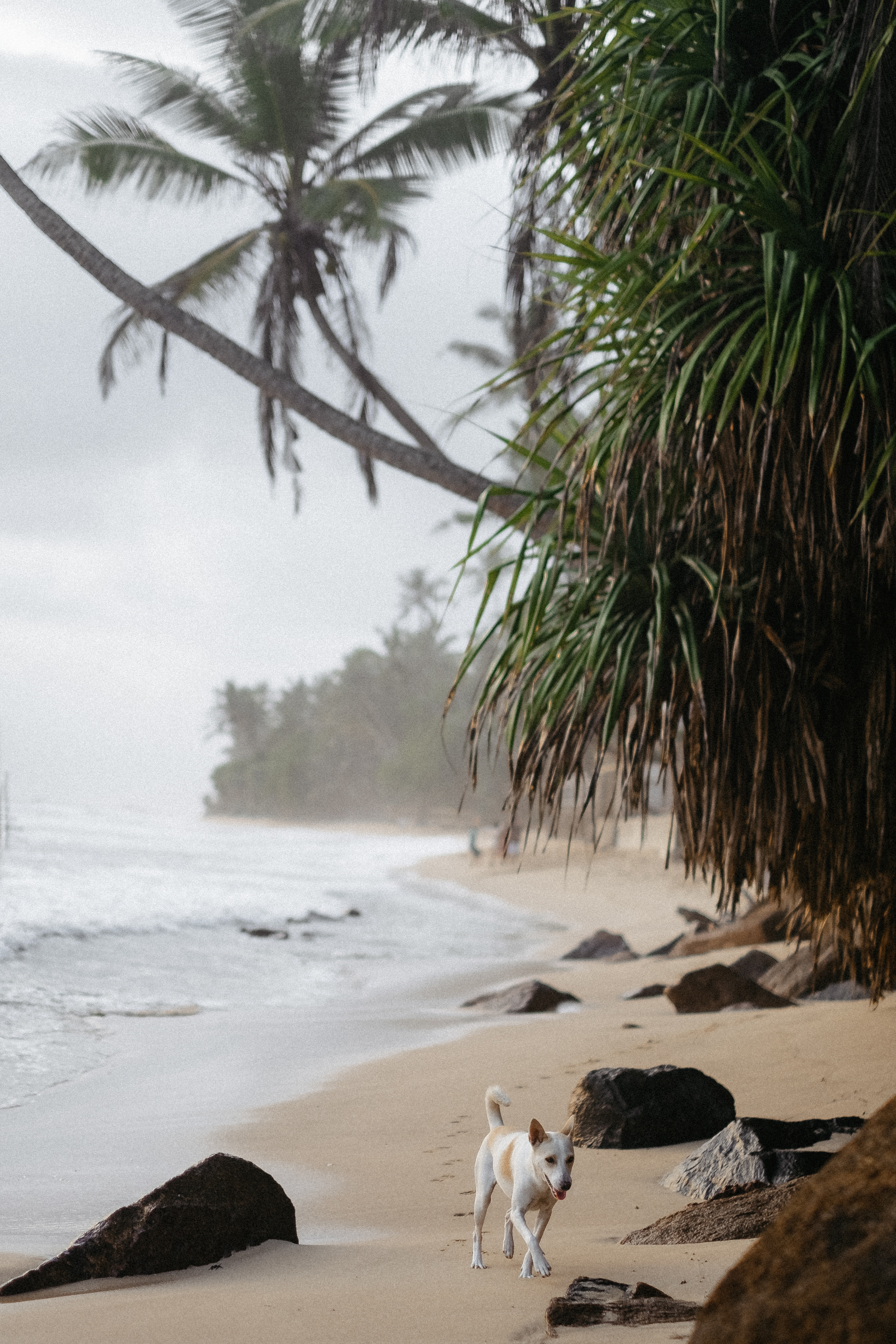 Sri Lanka. Закат. Не смотри на других, смотри внутрь себя