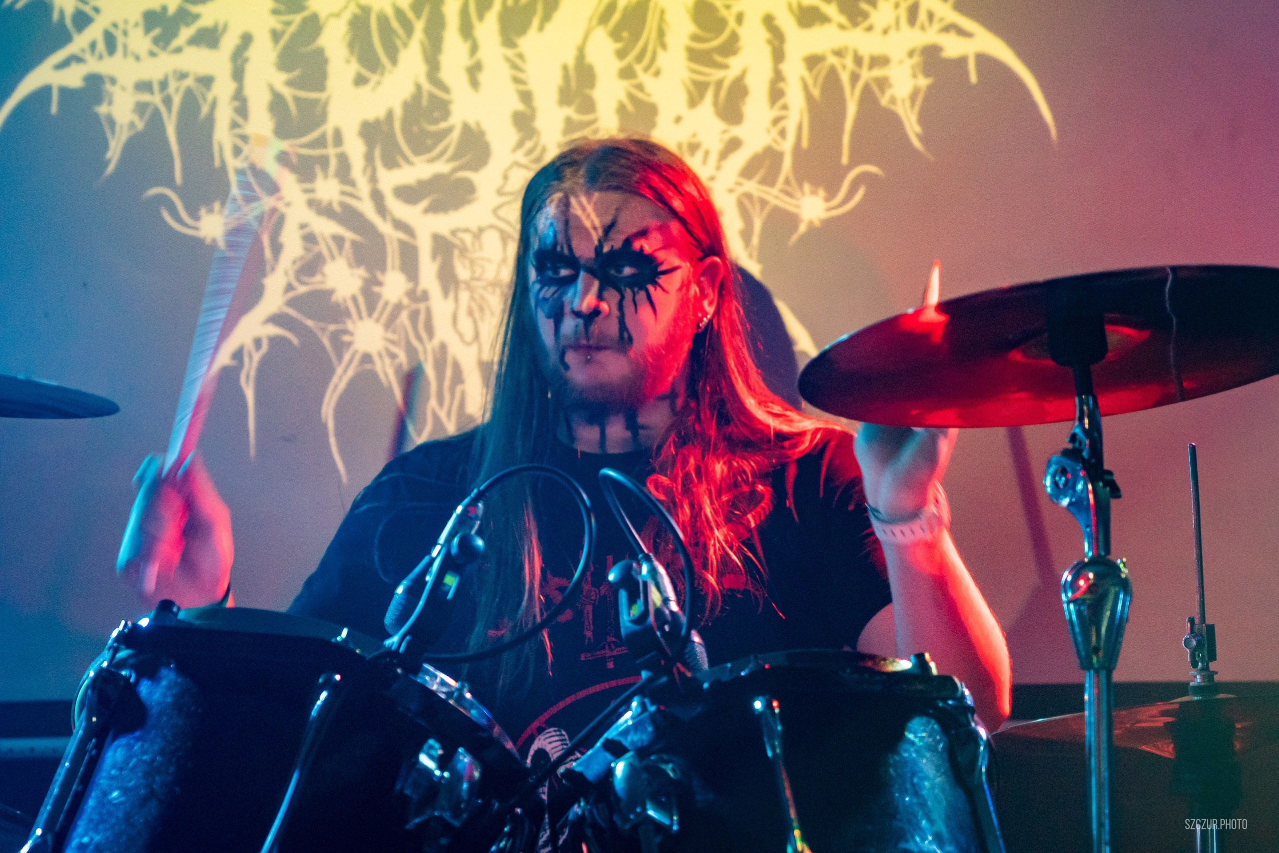 Волчьи Трупы в Городе 6.01.25. Szczur photo