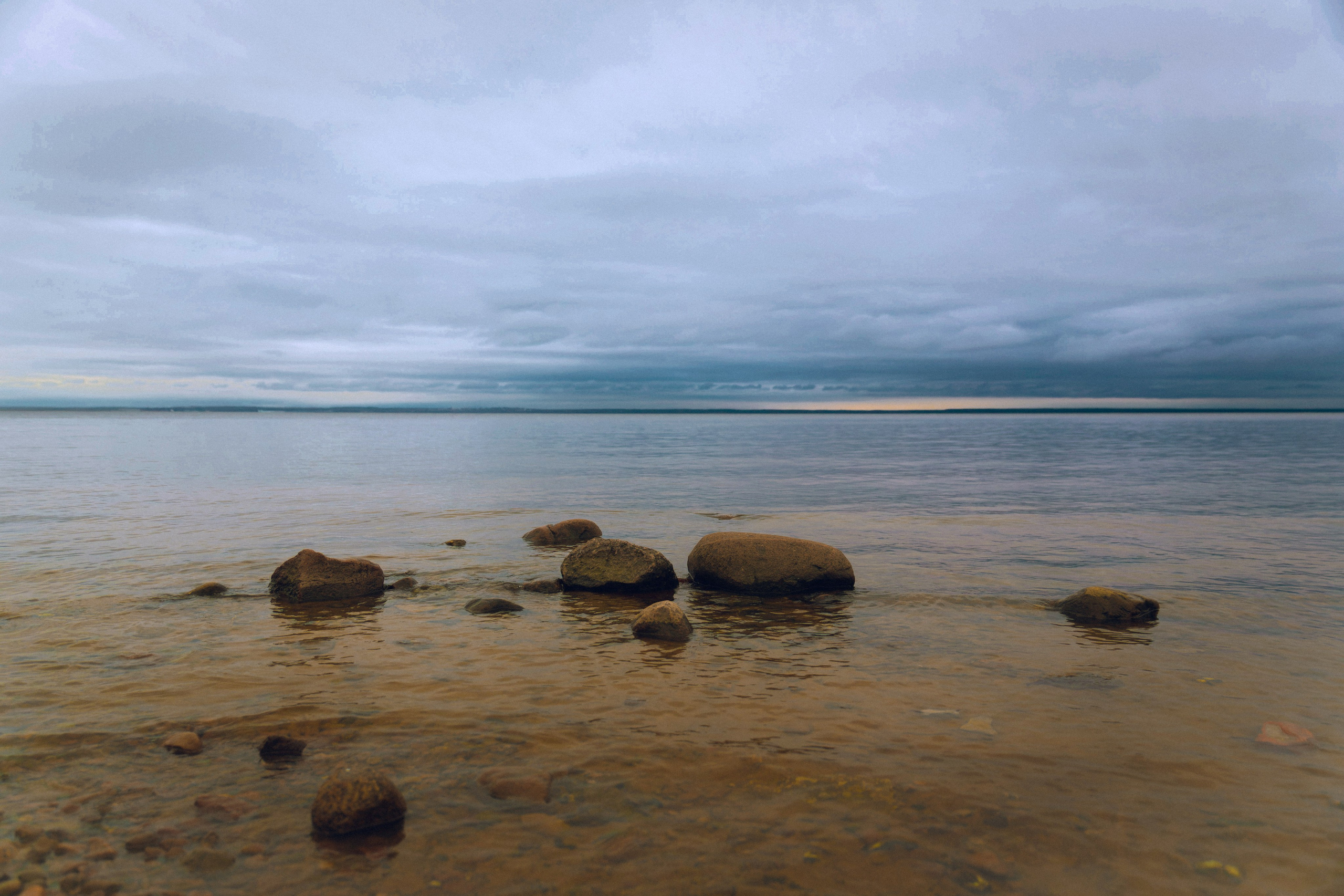 Из наблюдений. Плак или Квак