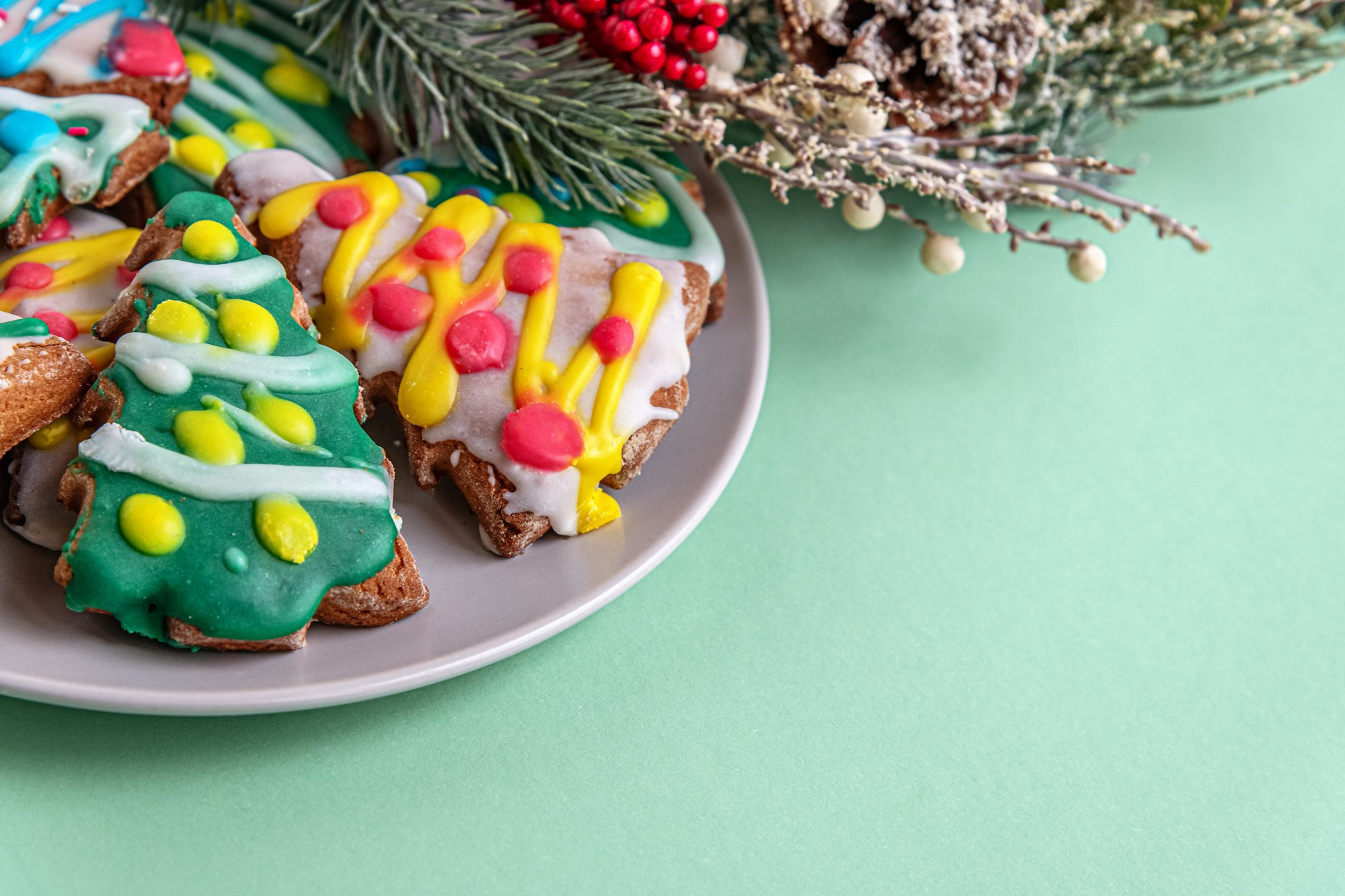 Christmas/New year. Мария Абаза, фотограф. Реховот, Израиль