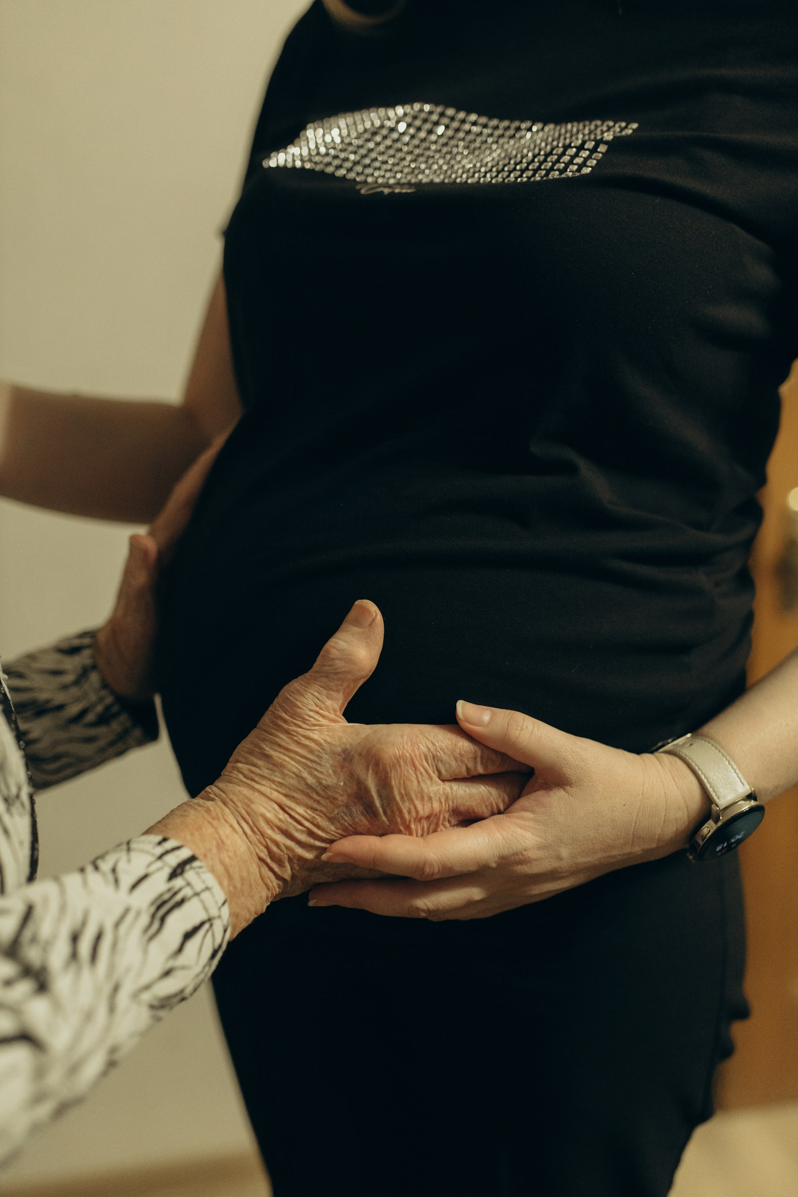 Домашняя история. Meryfotoidea