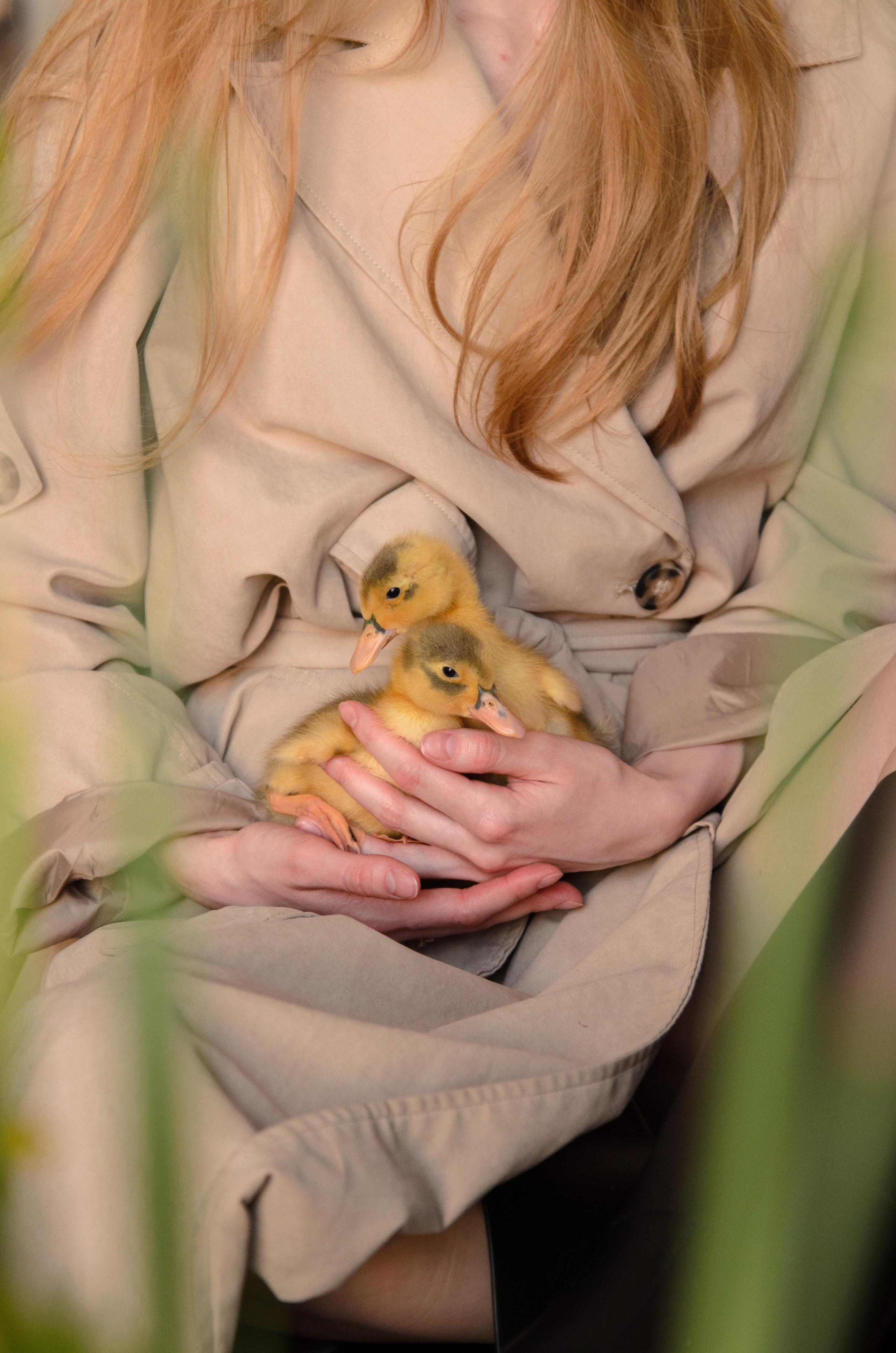 Утиные истории. Фотографы в Тюмени Андрей и Лидия Войвод