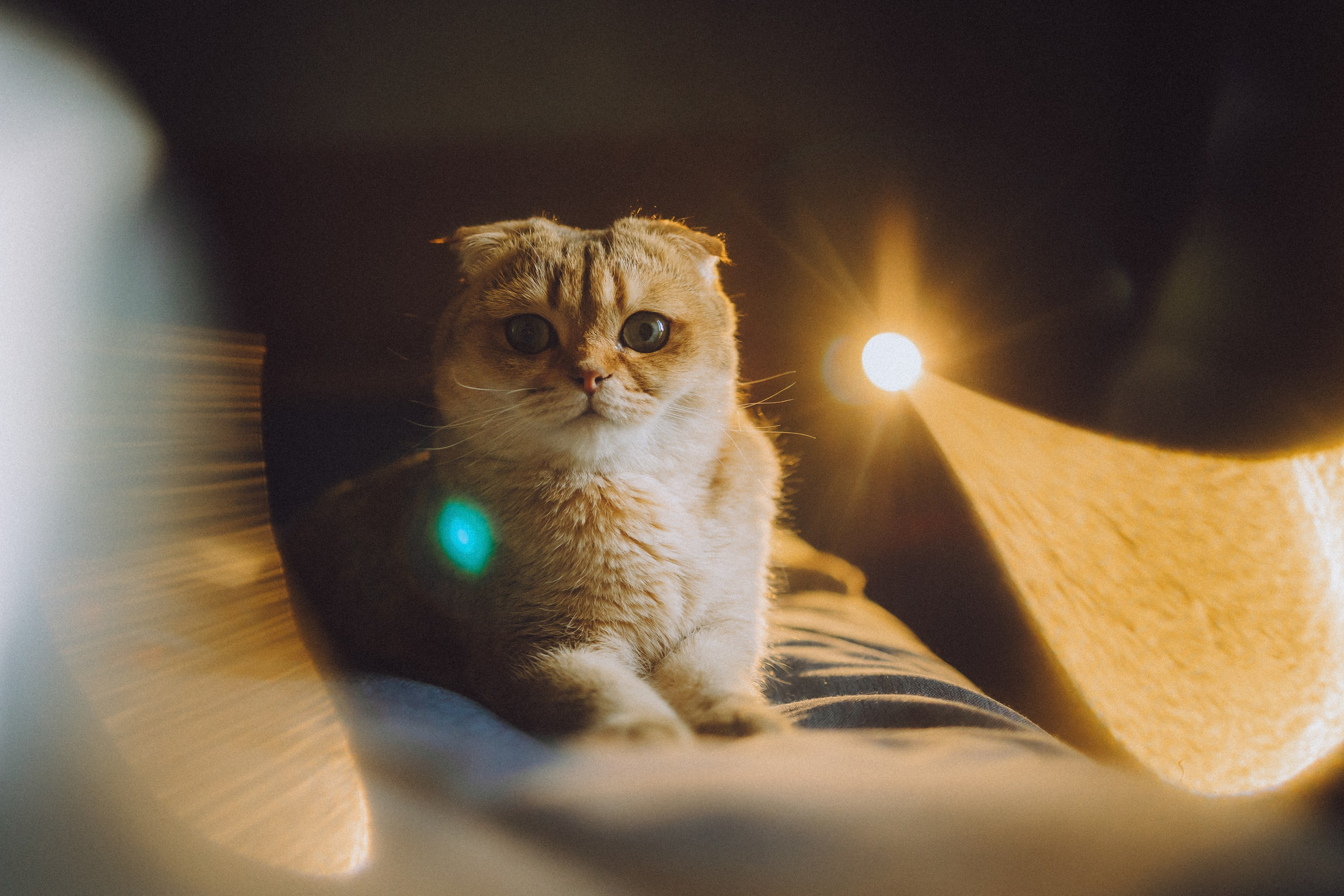 Генри и его семья