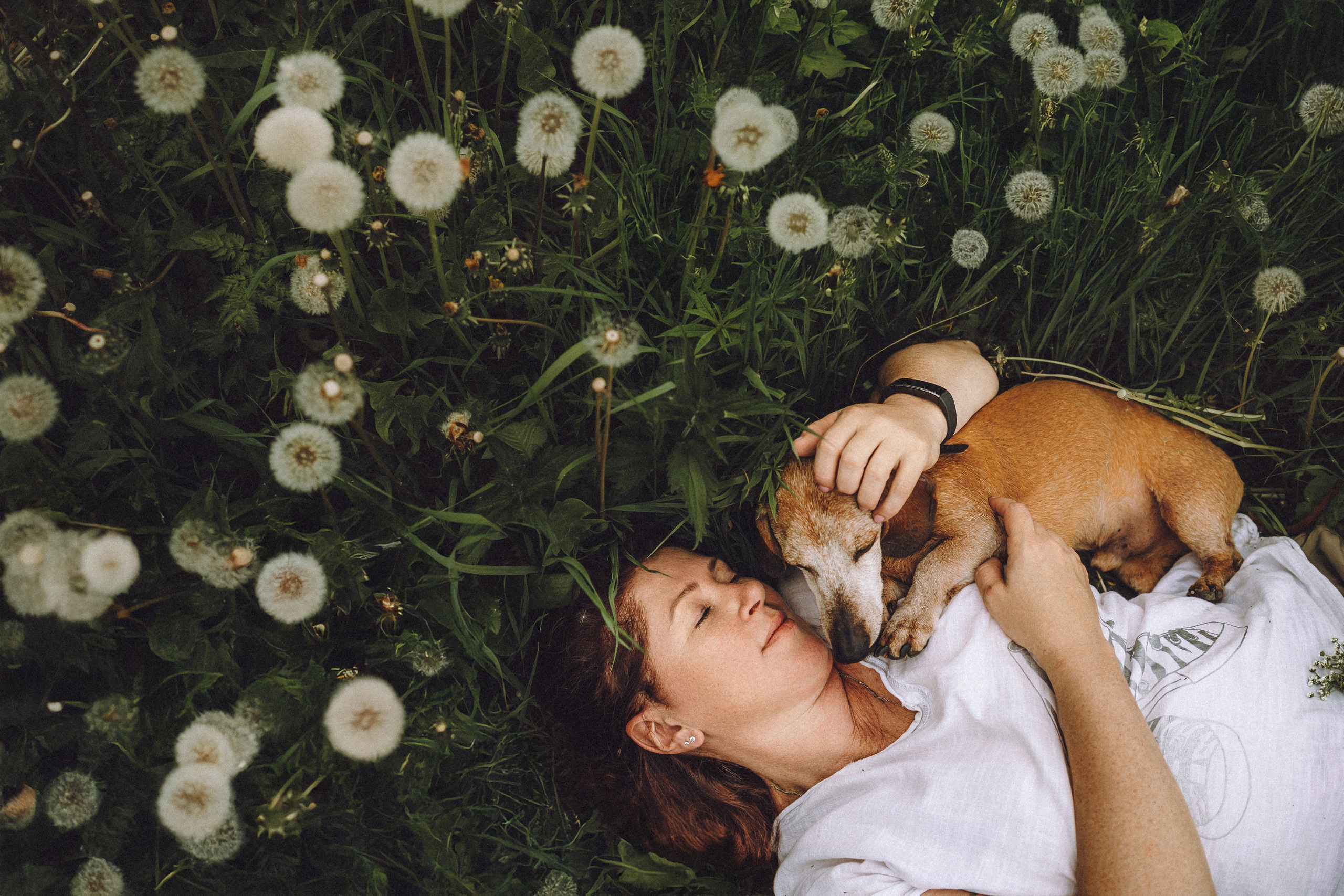 Груша, Данни, Фунтик и их семья