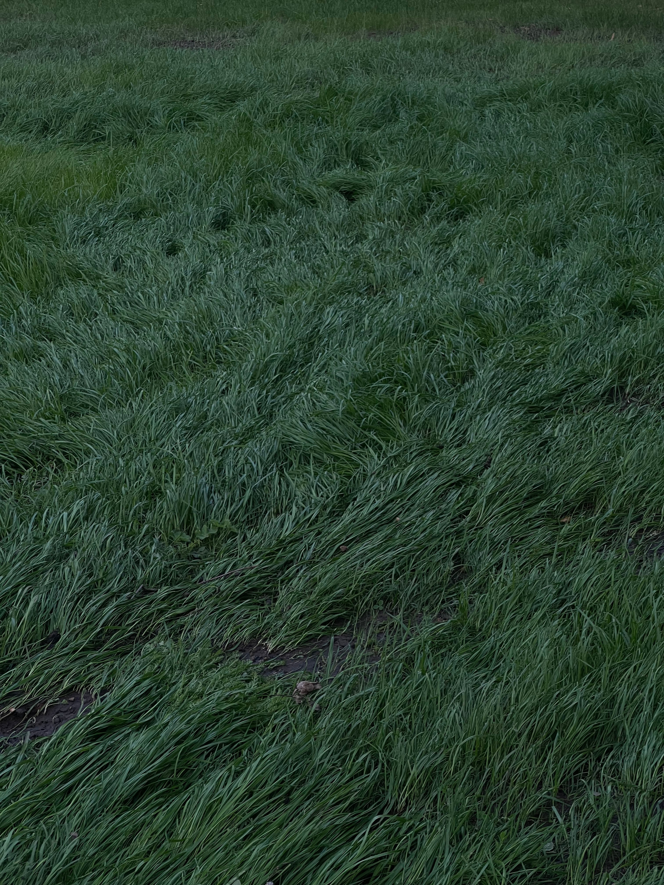 Fragments. Artem Khusainov