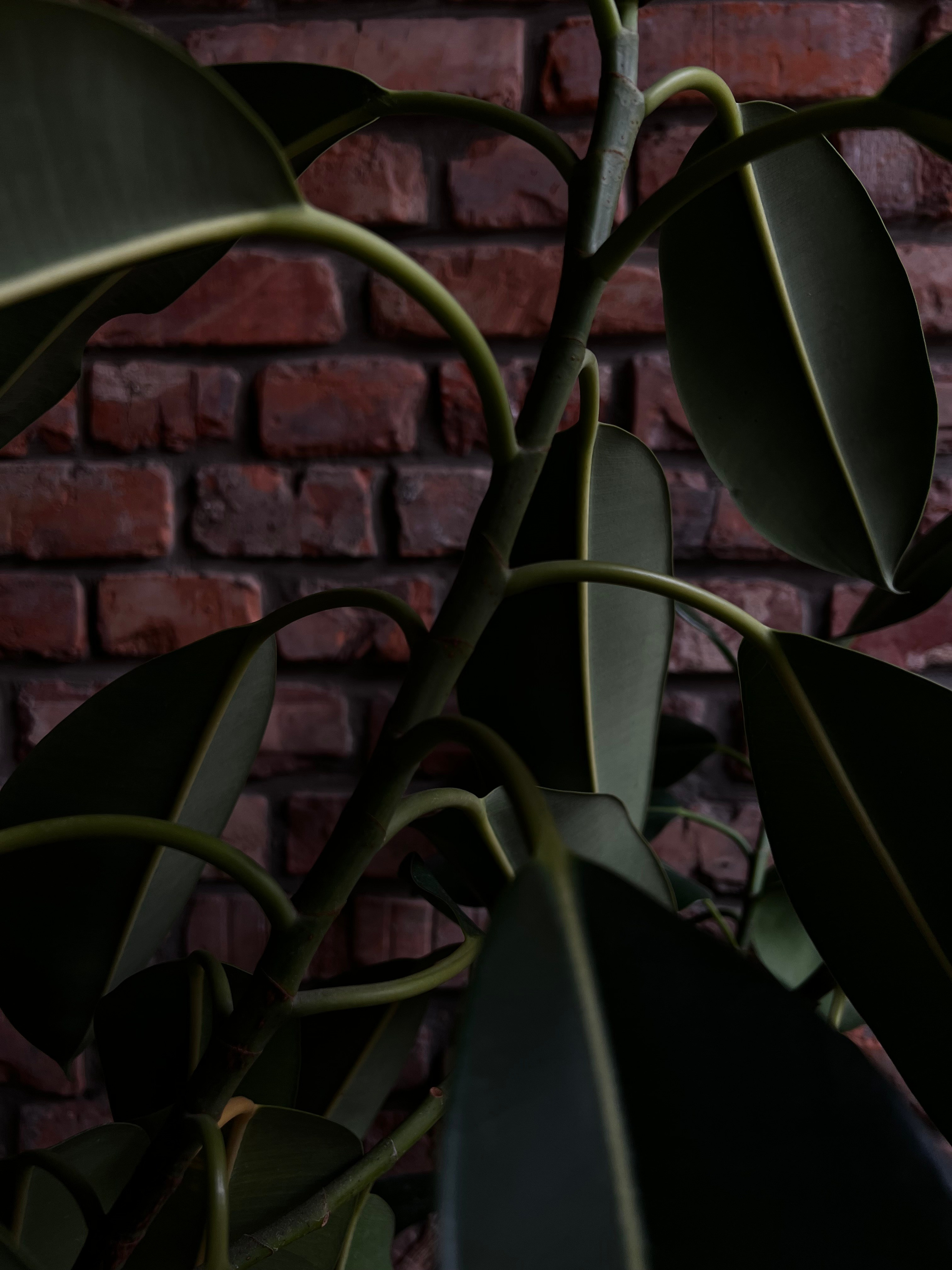 Fragments. Artem Khusainov