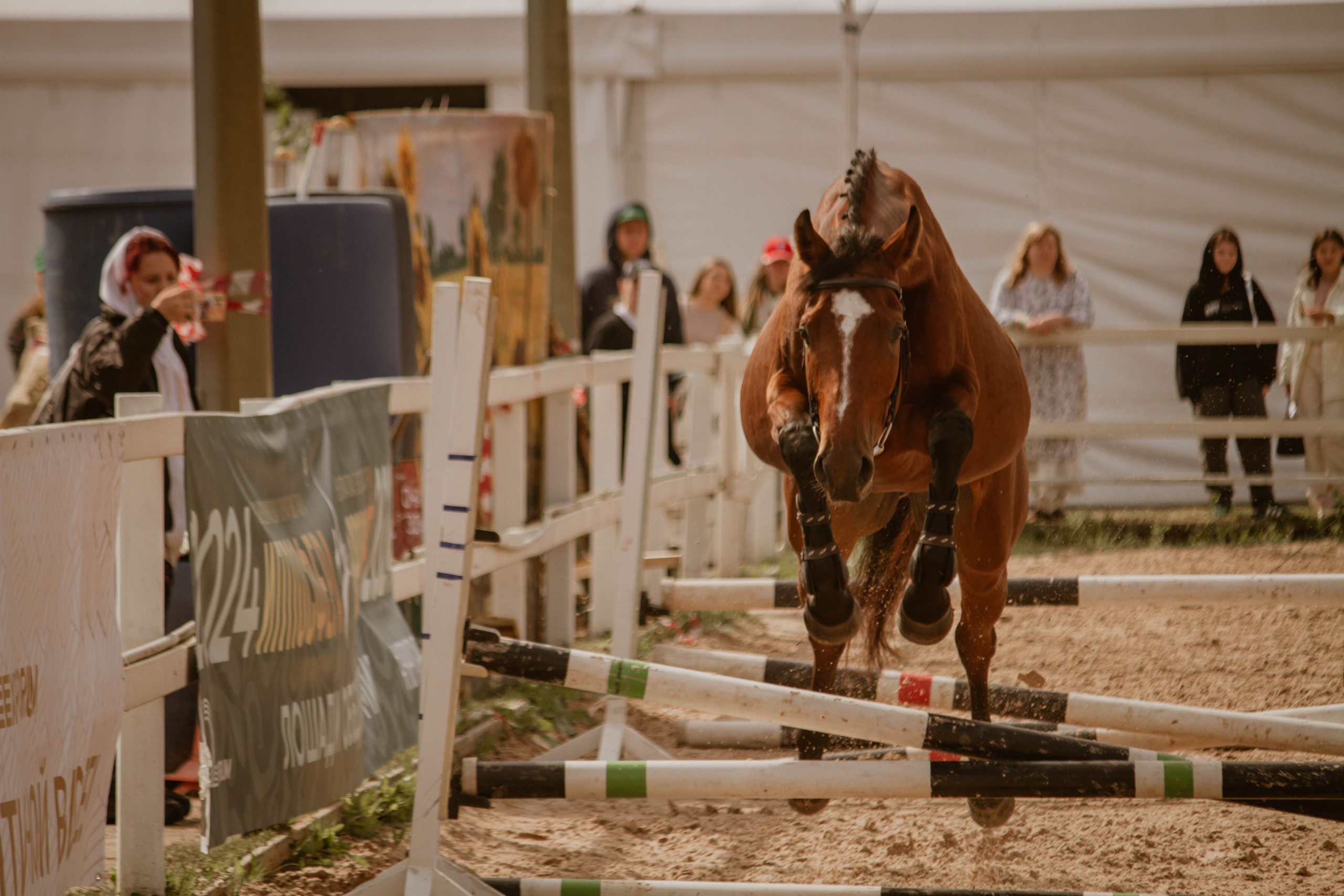 ИППОСФЕРА — Международная конная выставка. Создадим шедевр? Виталина и её фотоискусство
