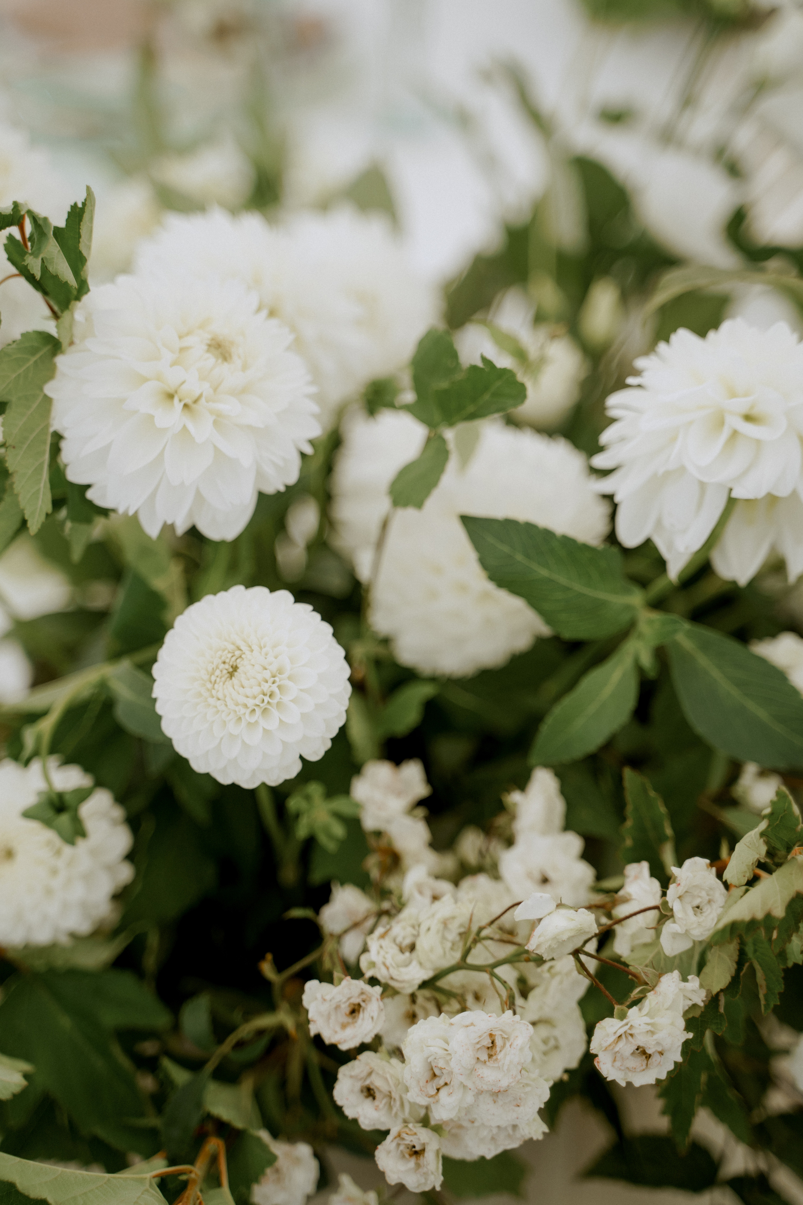 Романтическая сказка Софья и Заур. VENSKAYA WEDDING & EVENT PLANNER