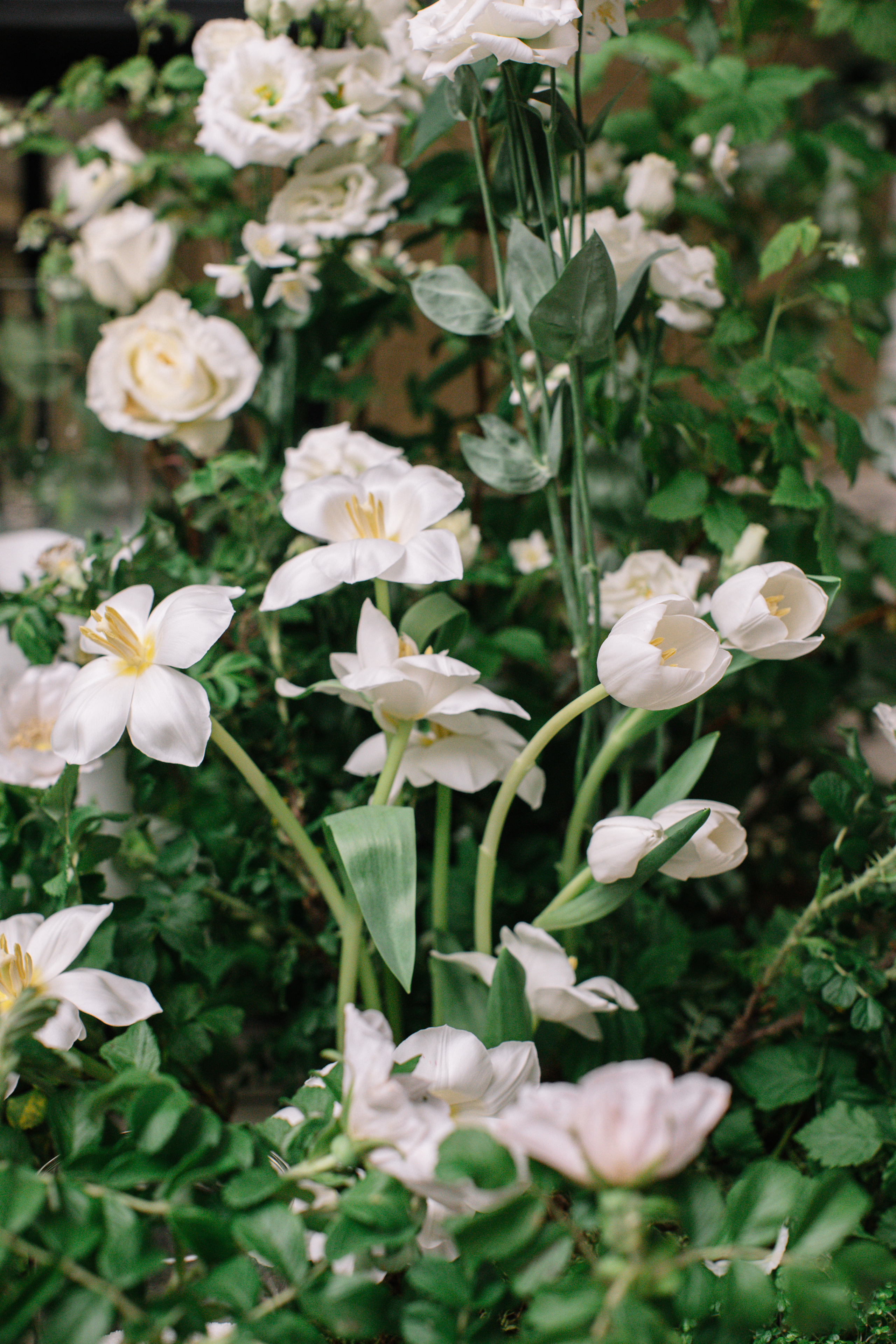 Jo malone Екатерина и Денис. VENSKAYA WEDDING & EVENT PLANNER