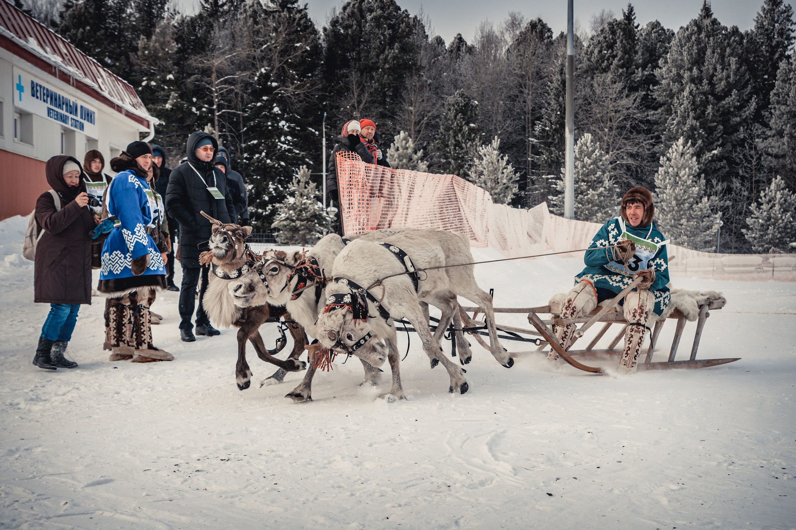 Конкурс оленеводов. Фотограф в Ханты-Мансийске Евгений Жуланов