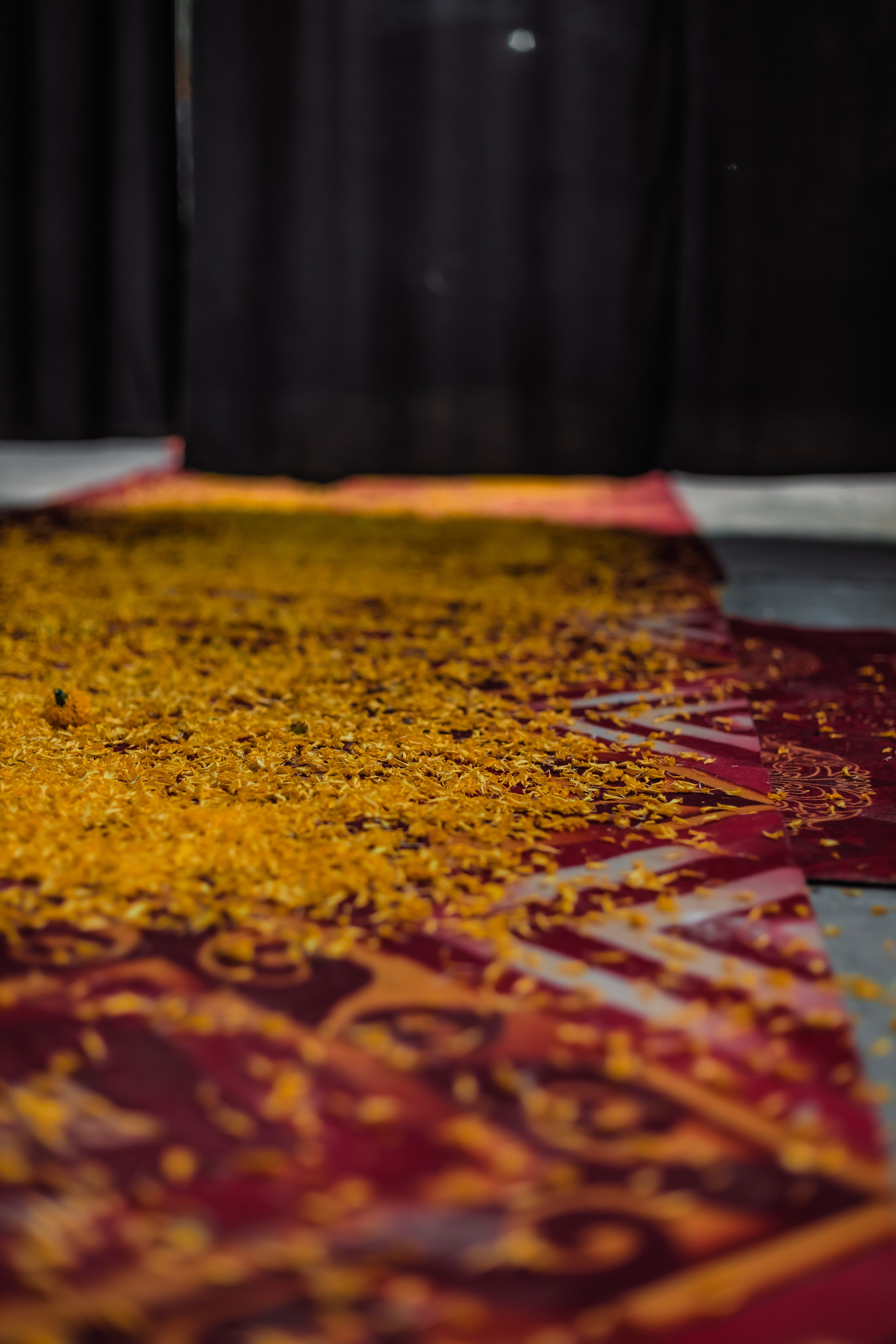 Devraha baba ji ashram life 2025. Mariam Bagdasaryan