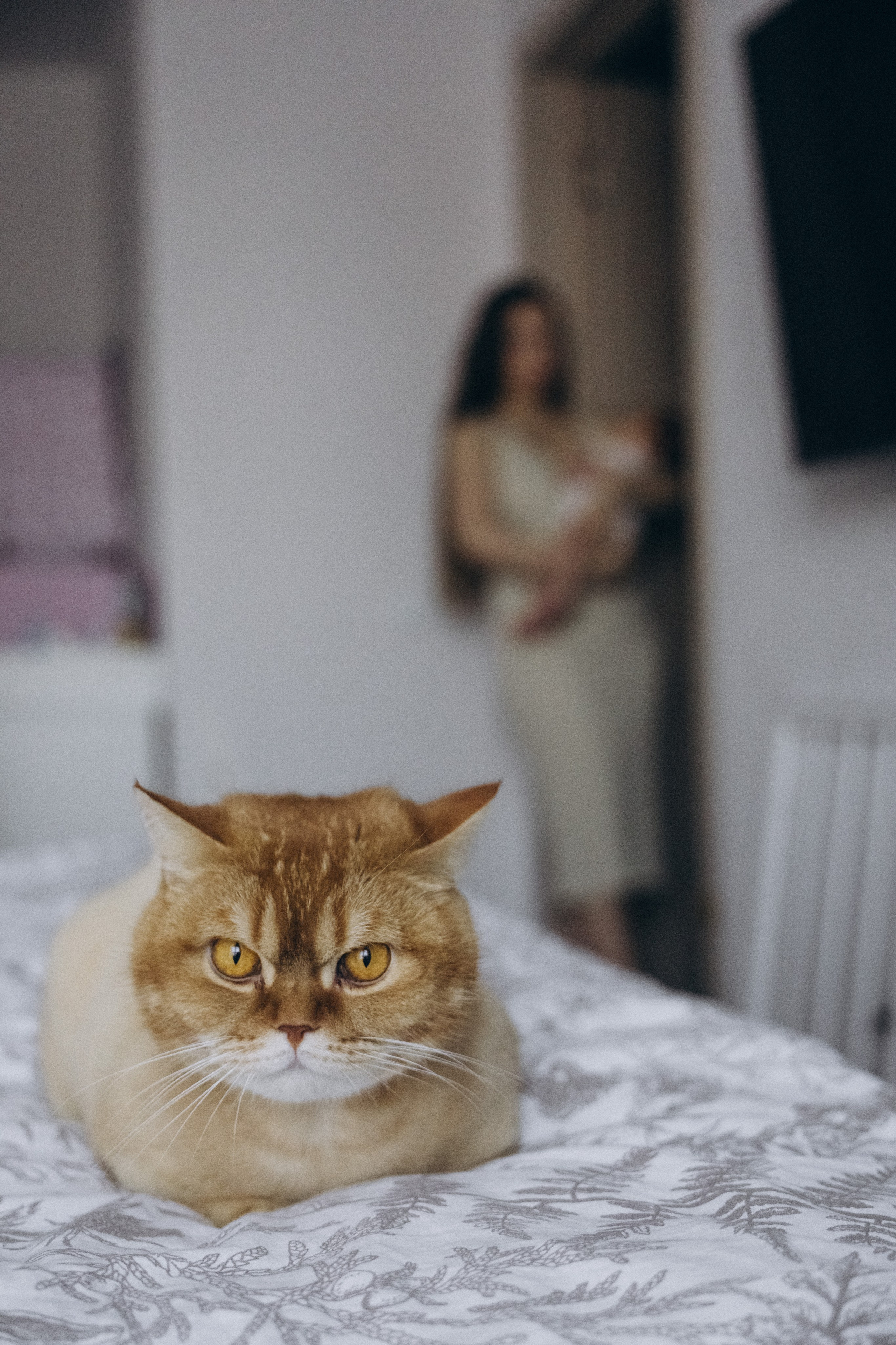 Домашняя семейная фотосессия. Семейный фотограф в Санкт-Петербурге Екатерина Васильева