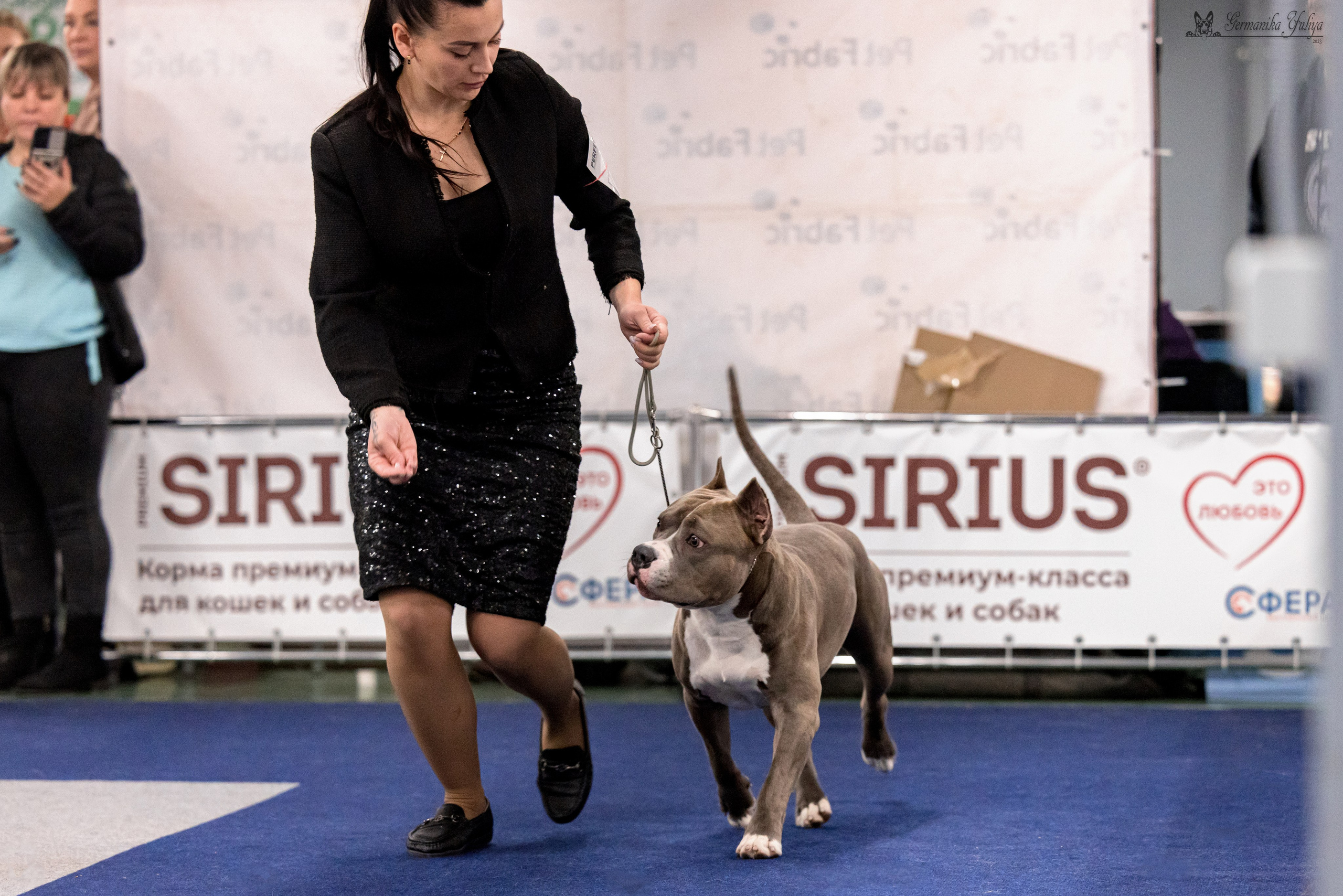 Сфера 29.10,Крокус 4.11,Сфера 12.11.2023. Фотограф-анималист Юлия Германика