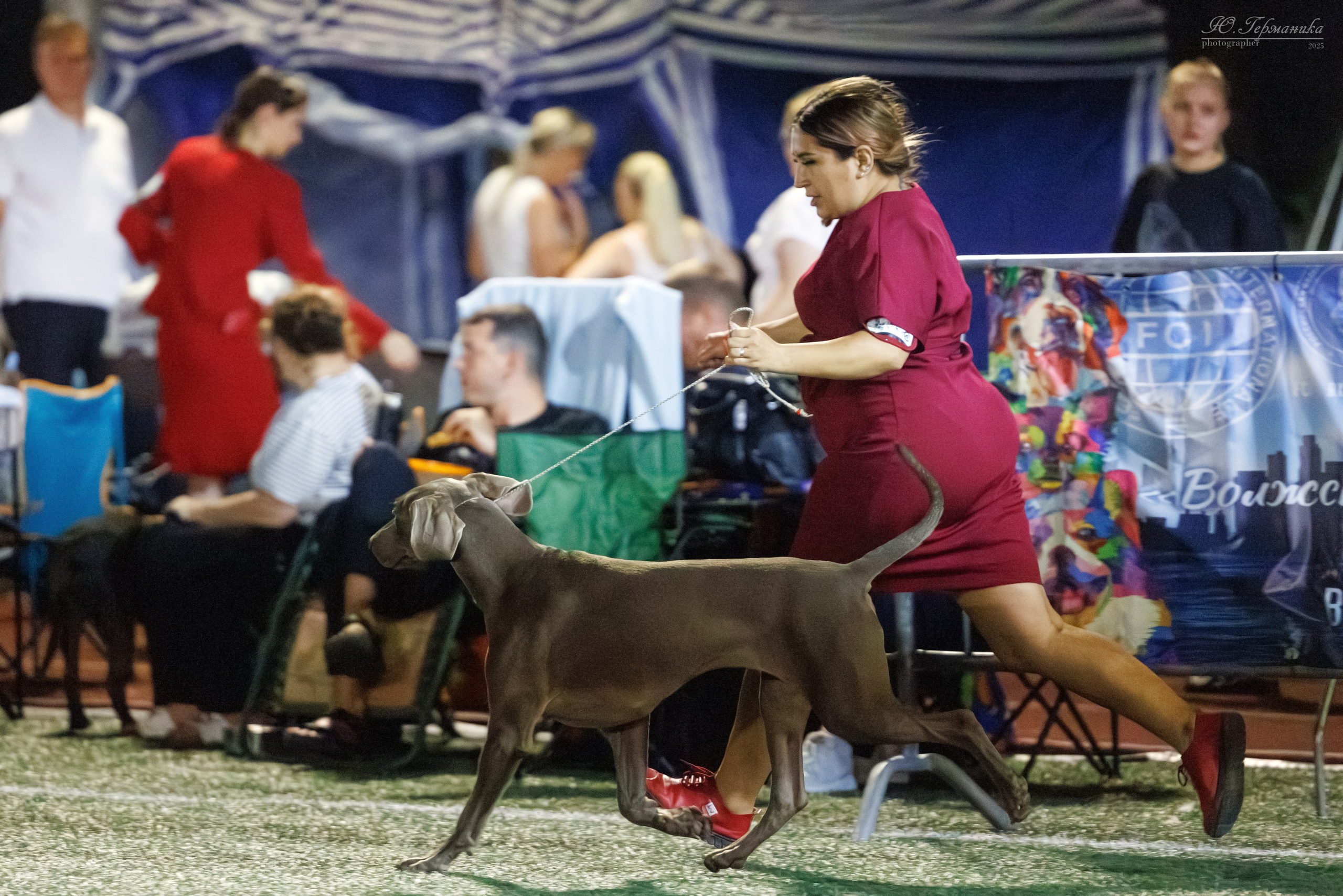 Калининград 25-27.07 Волгоград 1-3.08 2025. Фотограф-анималист Юлия Германика