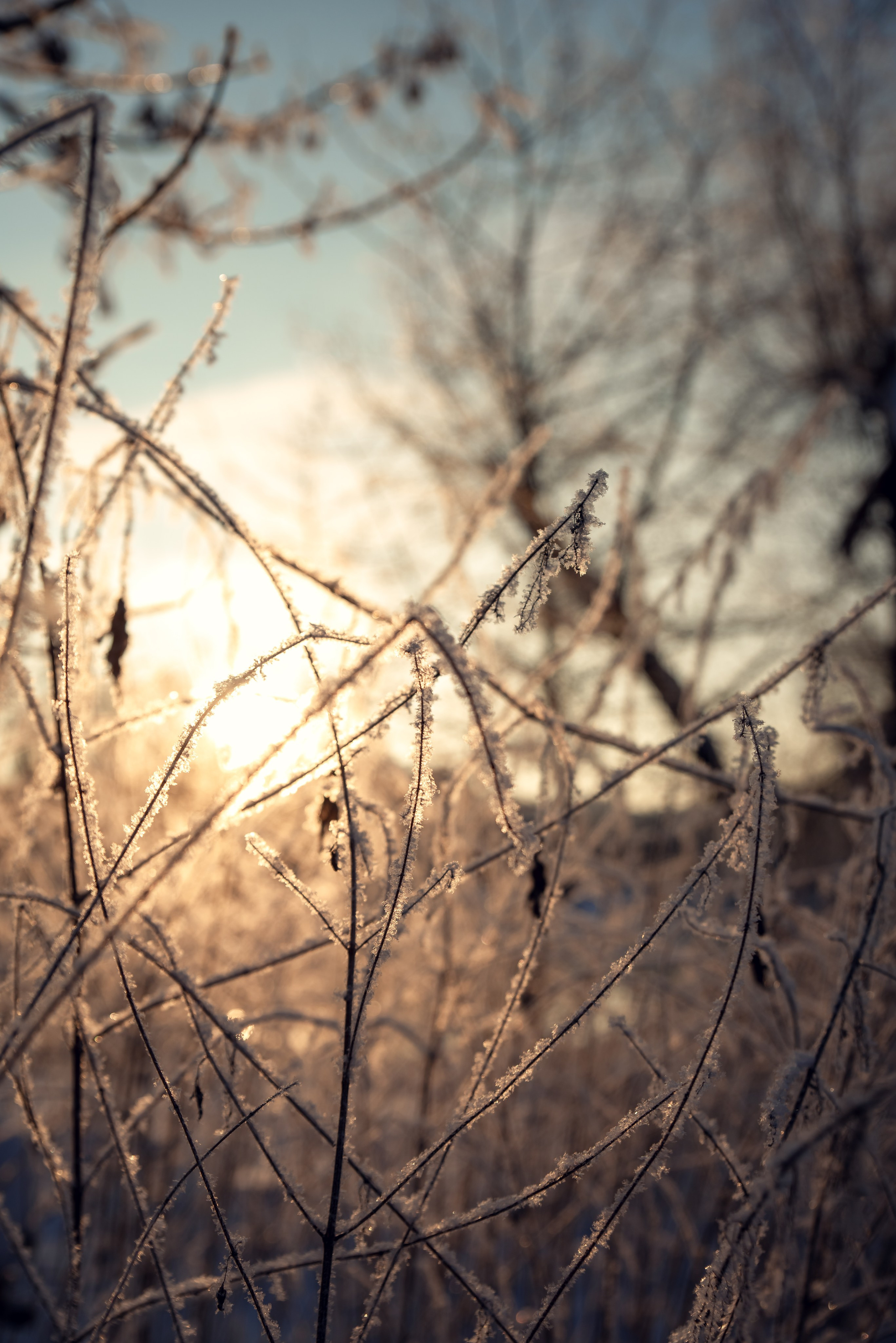 Зимушка зима. Фотограф Крещение Венчание Москва