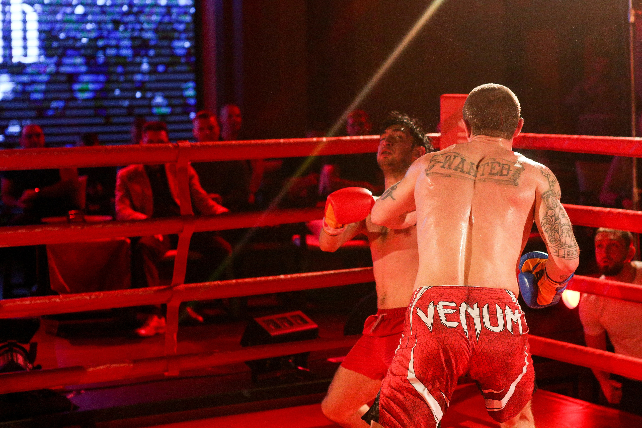 БОКС Империя Цынь, турнир первый. Фотограф Александр Заломаев