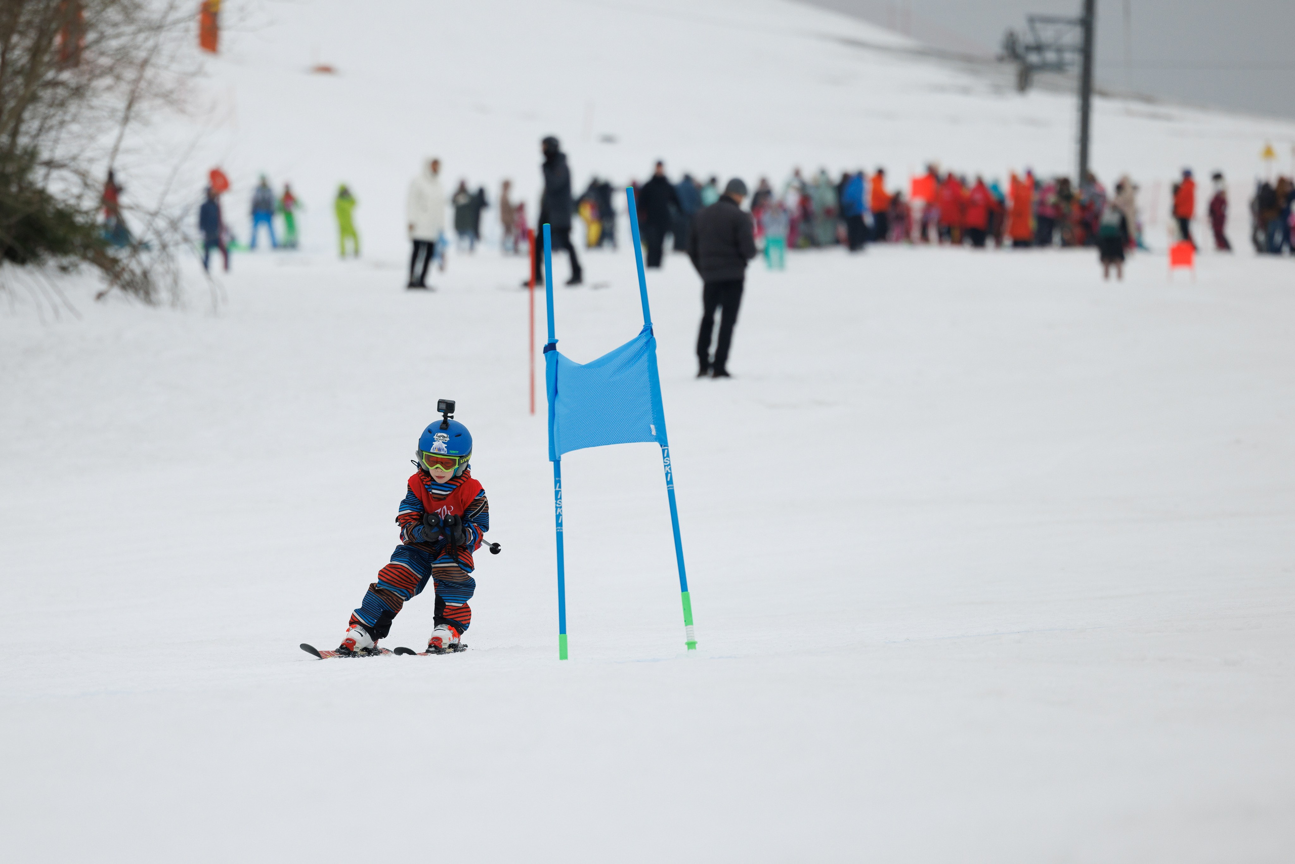 IGORA KIDS CUP 2024(spring). Фотограф Александр Заломаев