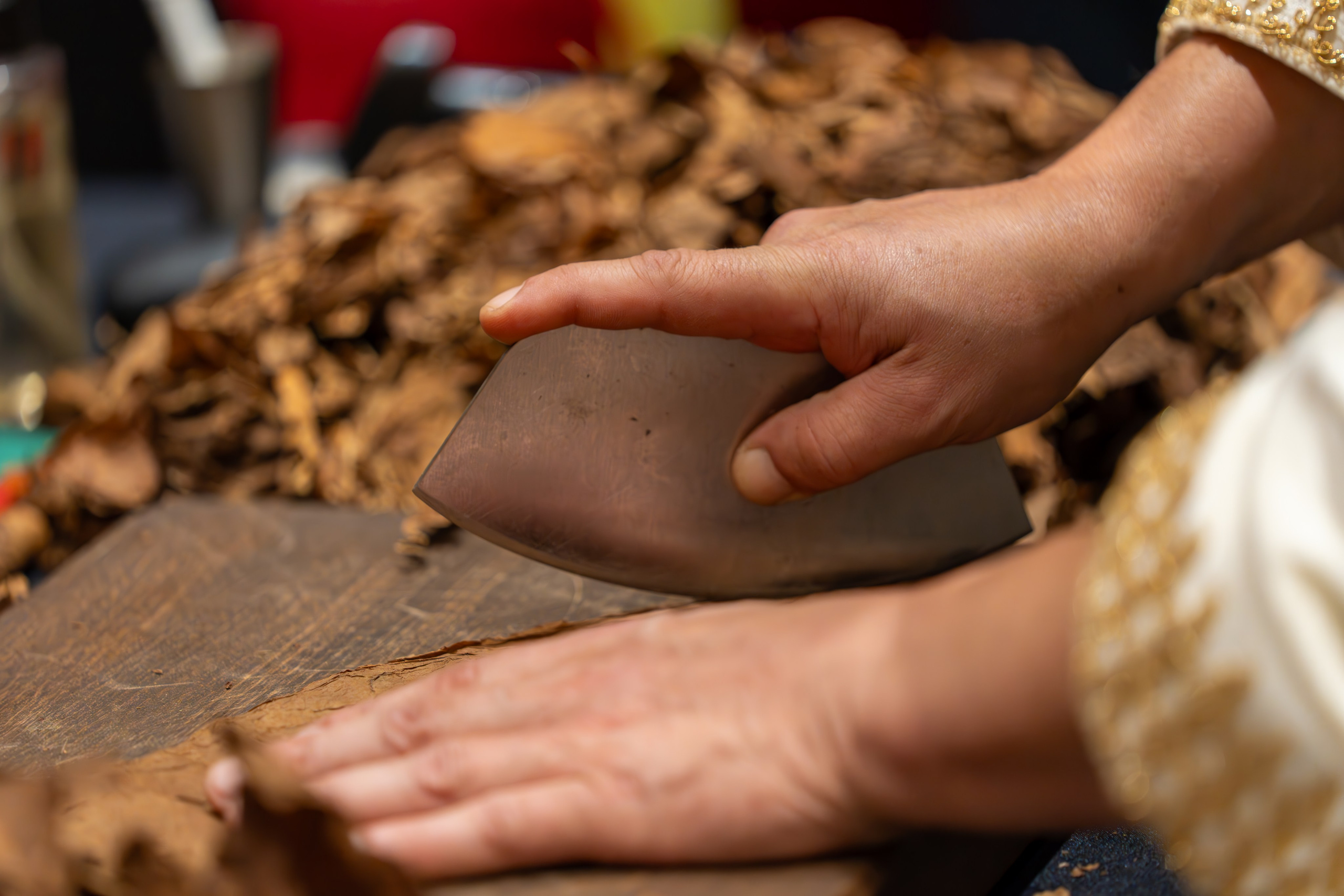 MICE мероприятие для компании «Базис». Репортажный фотограф в Красной Поляне и Сочи Павлюченко Екатерина