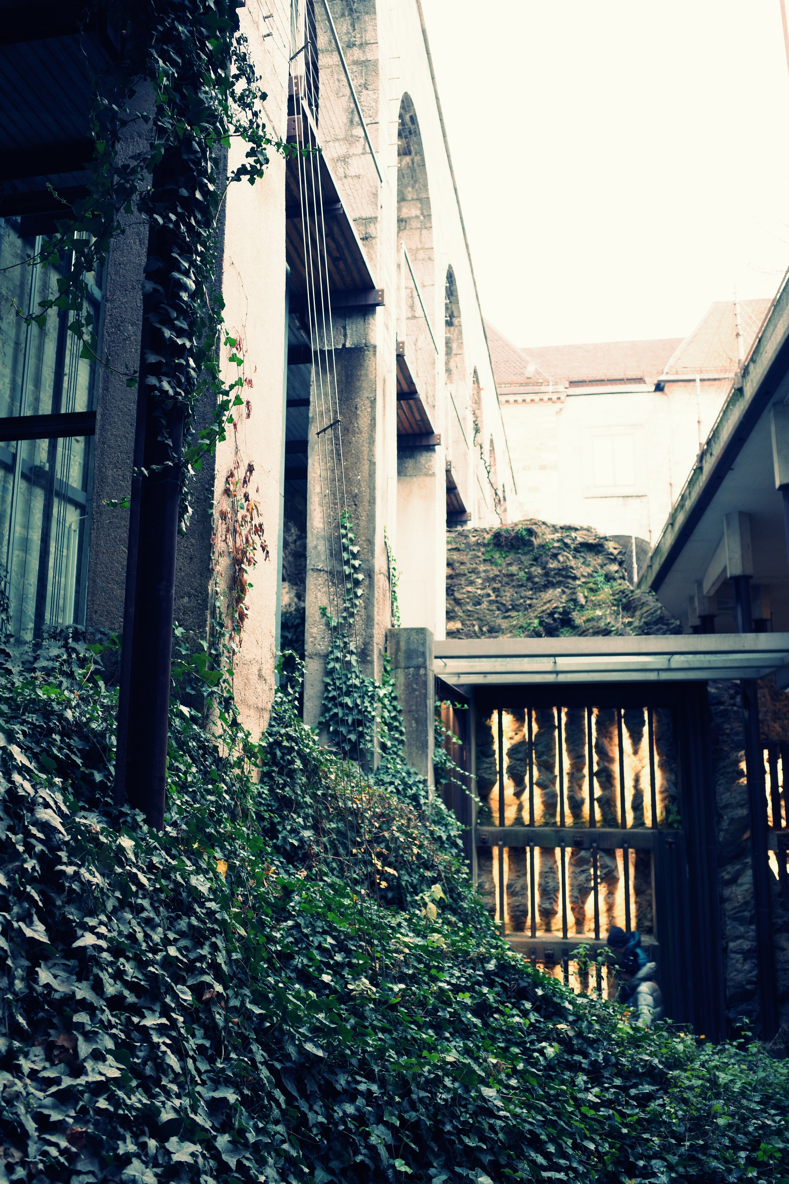 Словения. Фотографирую для себя, своей семьи и друзей!