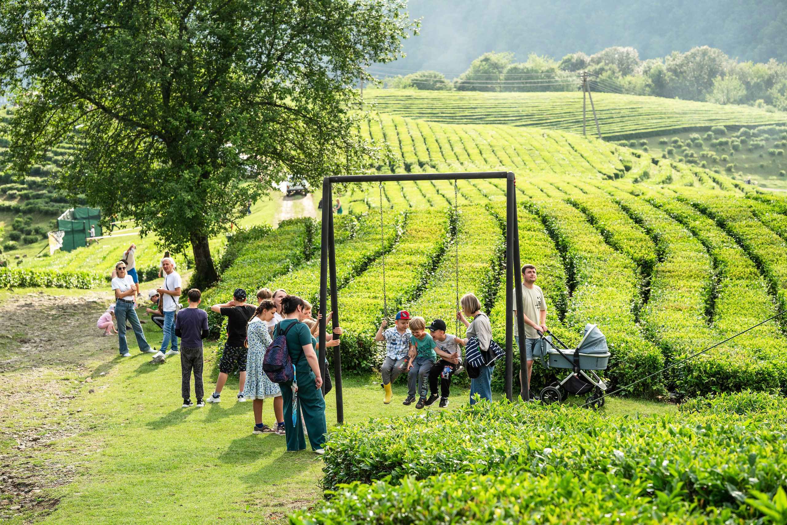 Фотограф на праздник Сочи. Фотограф Сочи