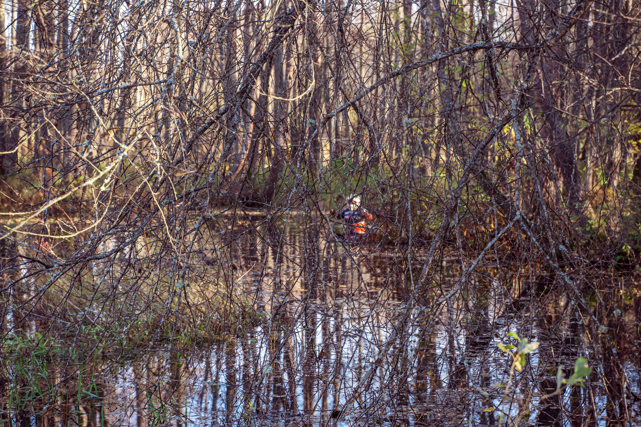 Спортивный репортажный фотограф Санкт-Петербург. Свадебный, семейный, портретный, репортажный фотограф в Санкт-Петербурге