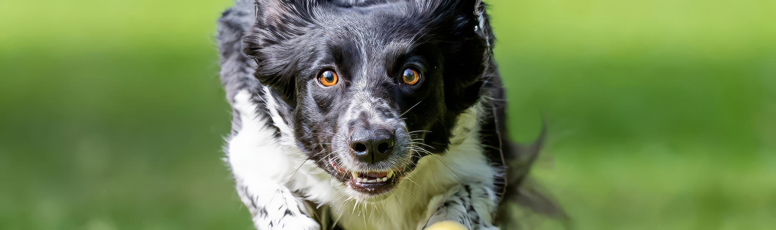 Константин Дем | Фотограф
