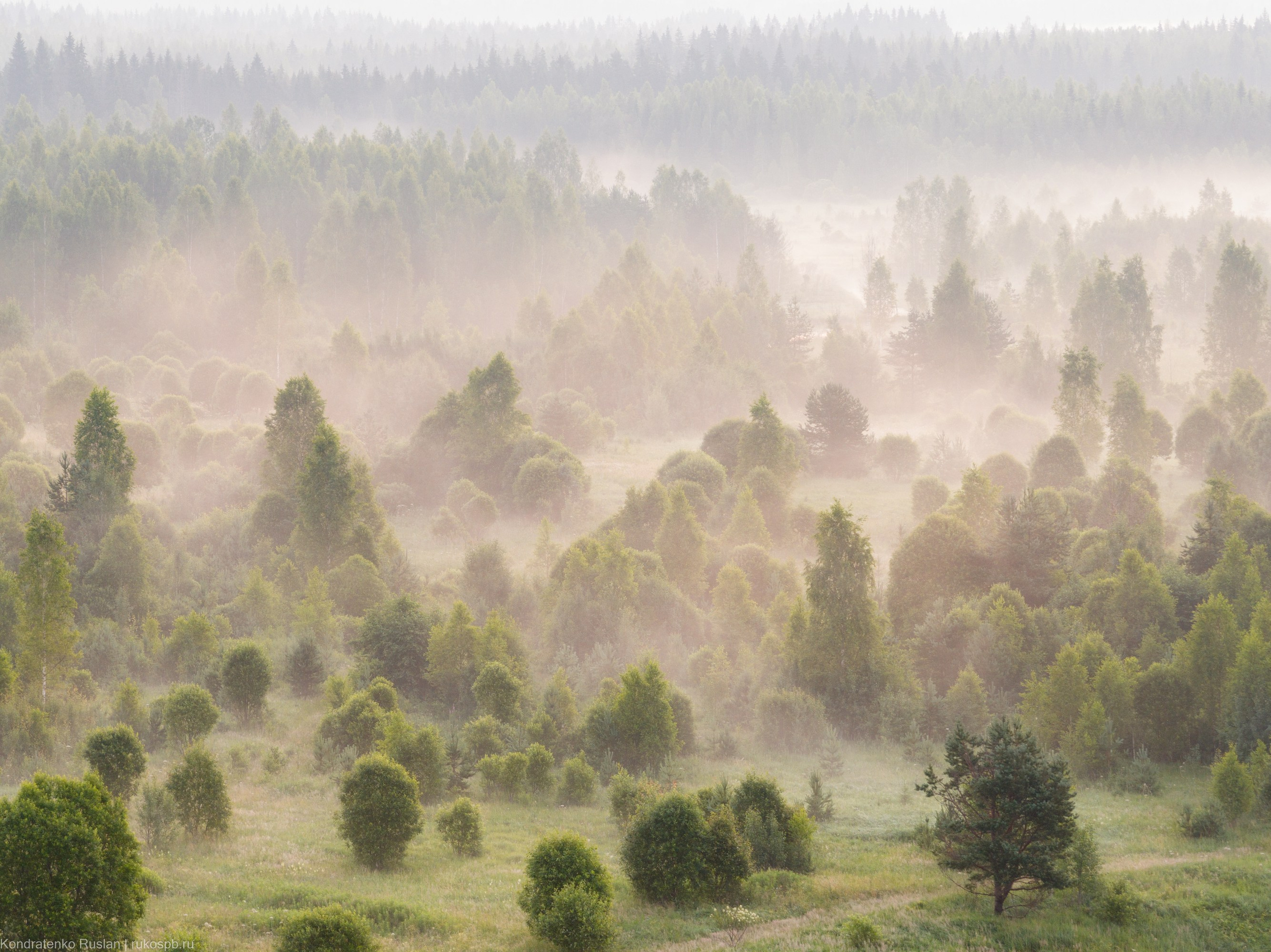 Ленинградская область. Архитектурный и пейзажный фотограф Кондратенко Руслан, Санкт-Петербург