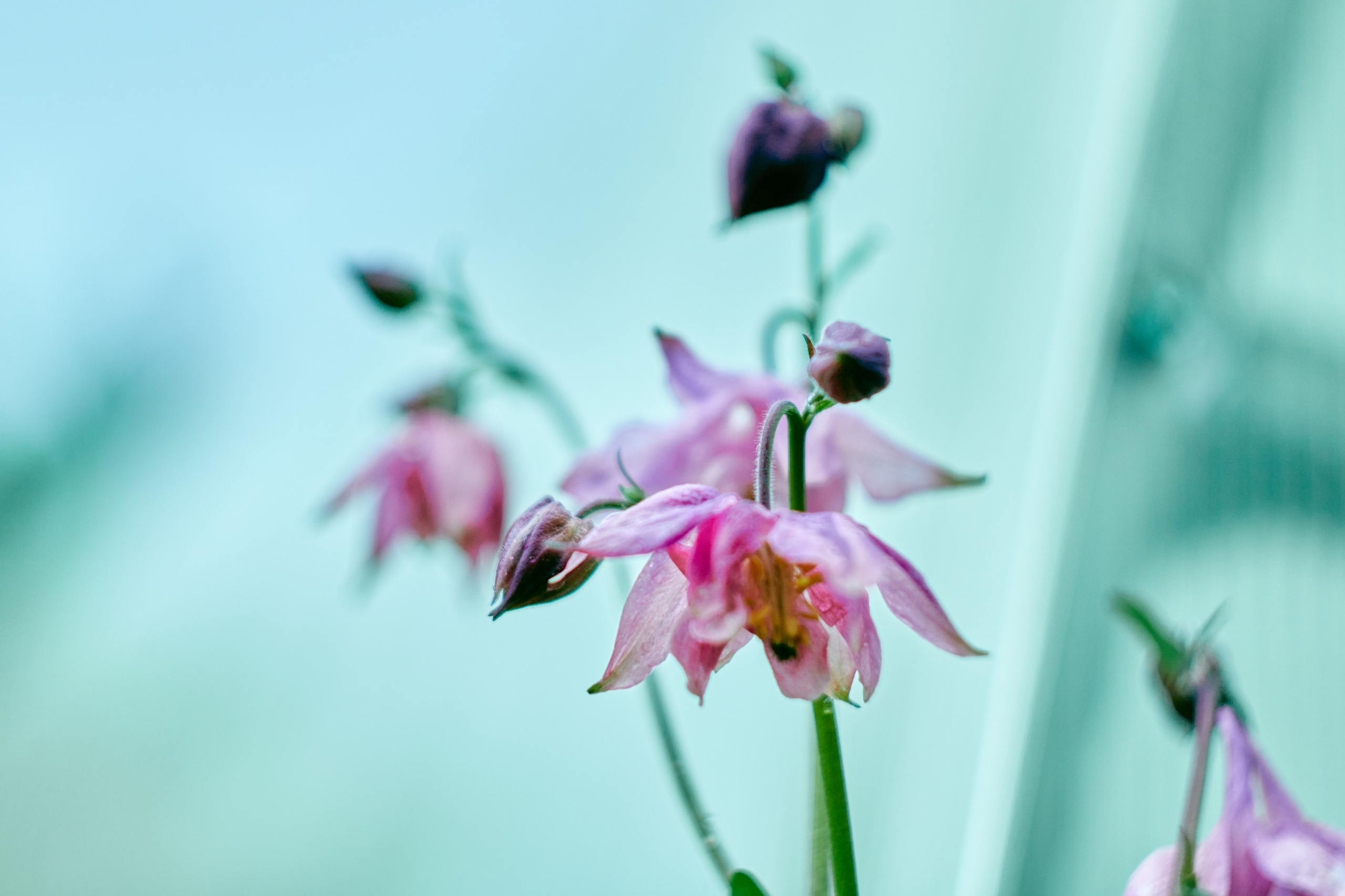 Object and lifestyle photography
