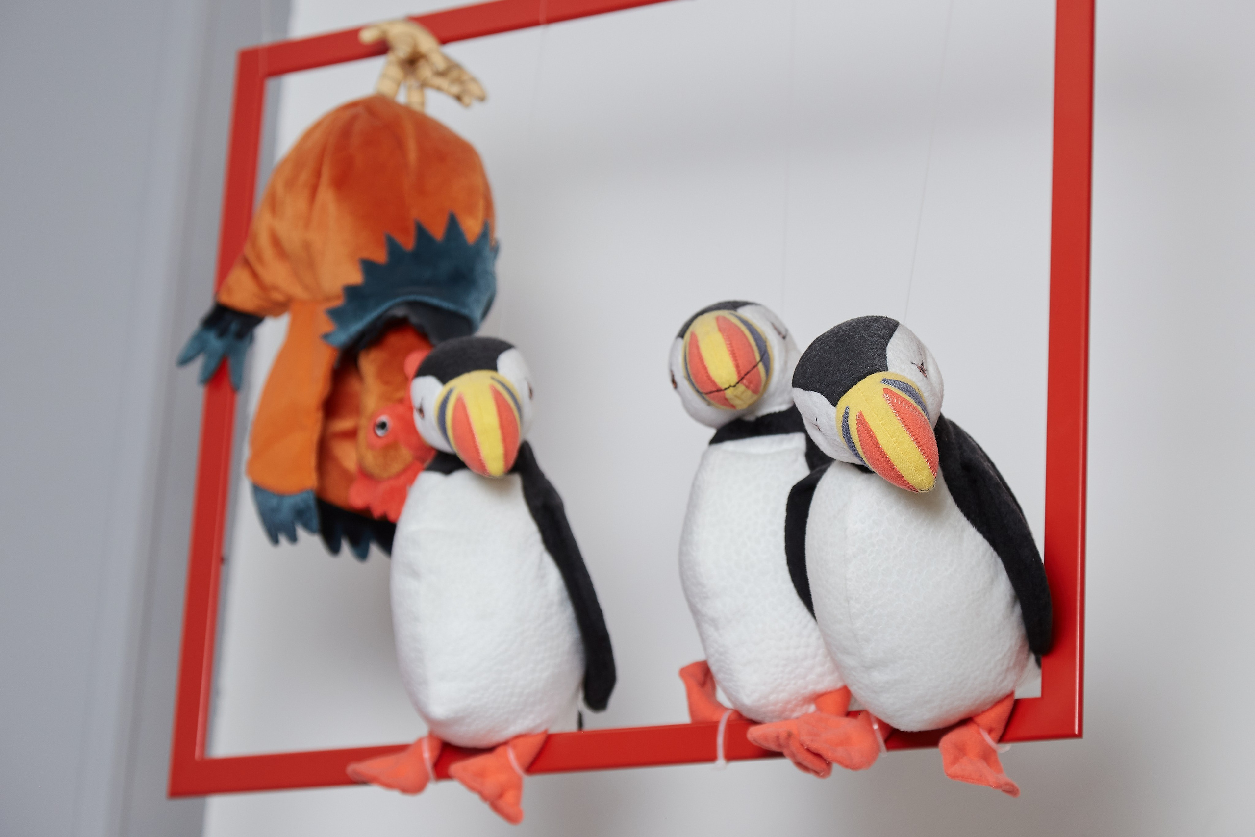 Детские праздники. Фотограф Комаров Сергей