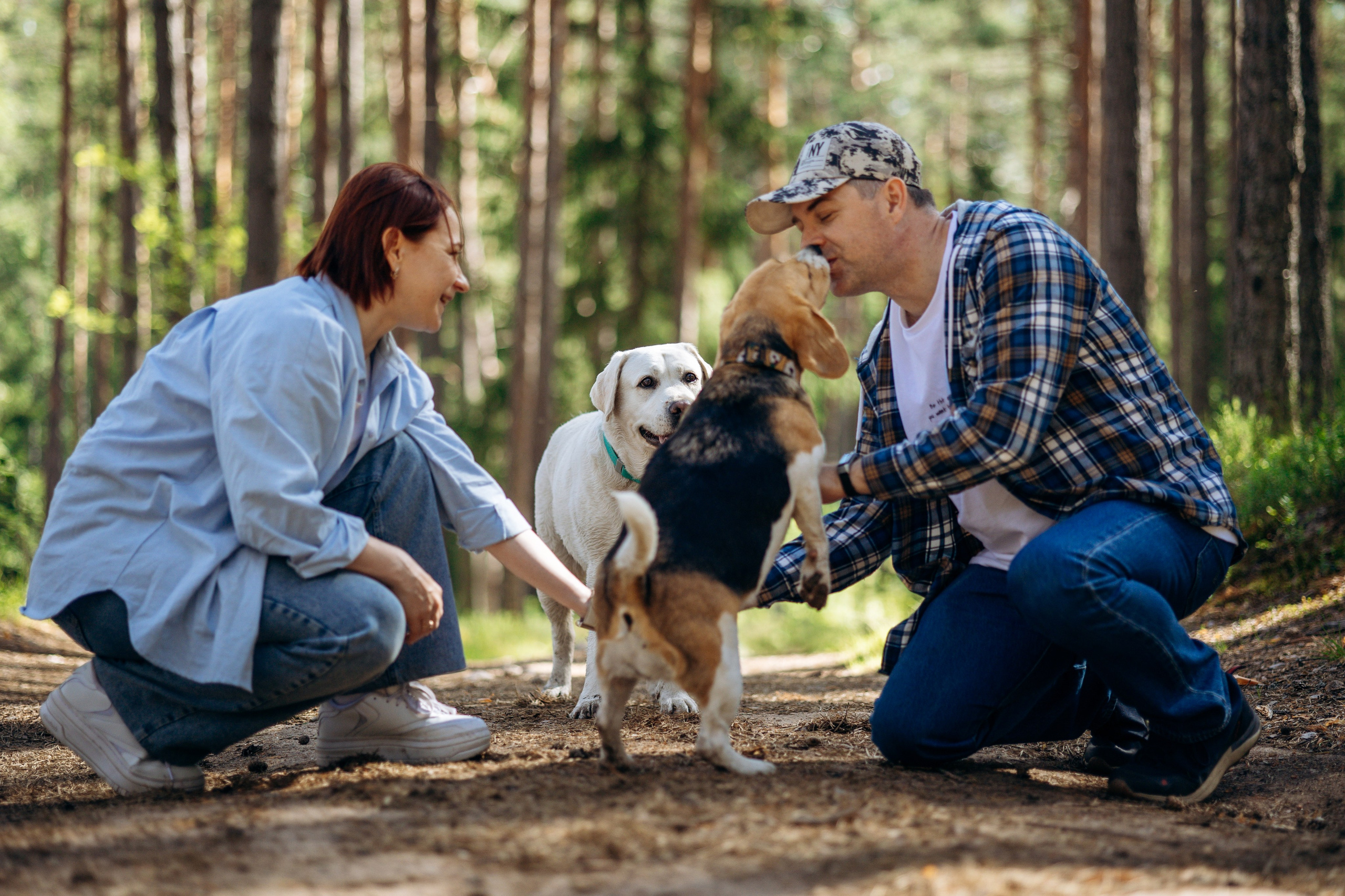Котофеи и их семья. Фотограф — Анималист | Санкт-Петербург