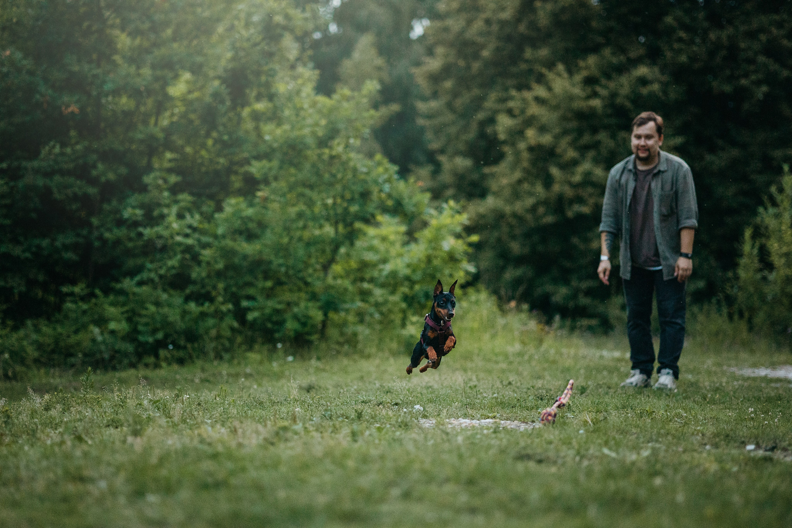 Сириус и его семья. Фотограф — Анималист | Санкт-Петербург