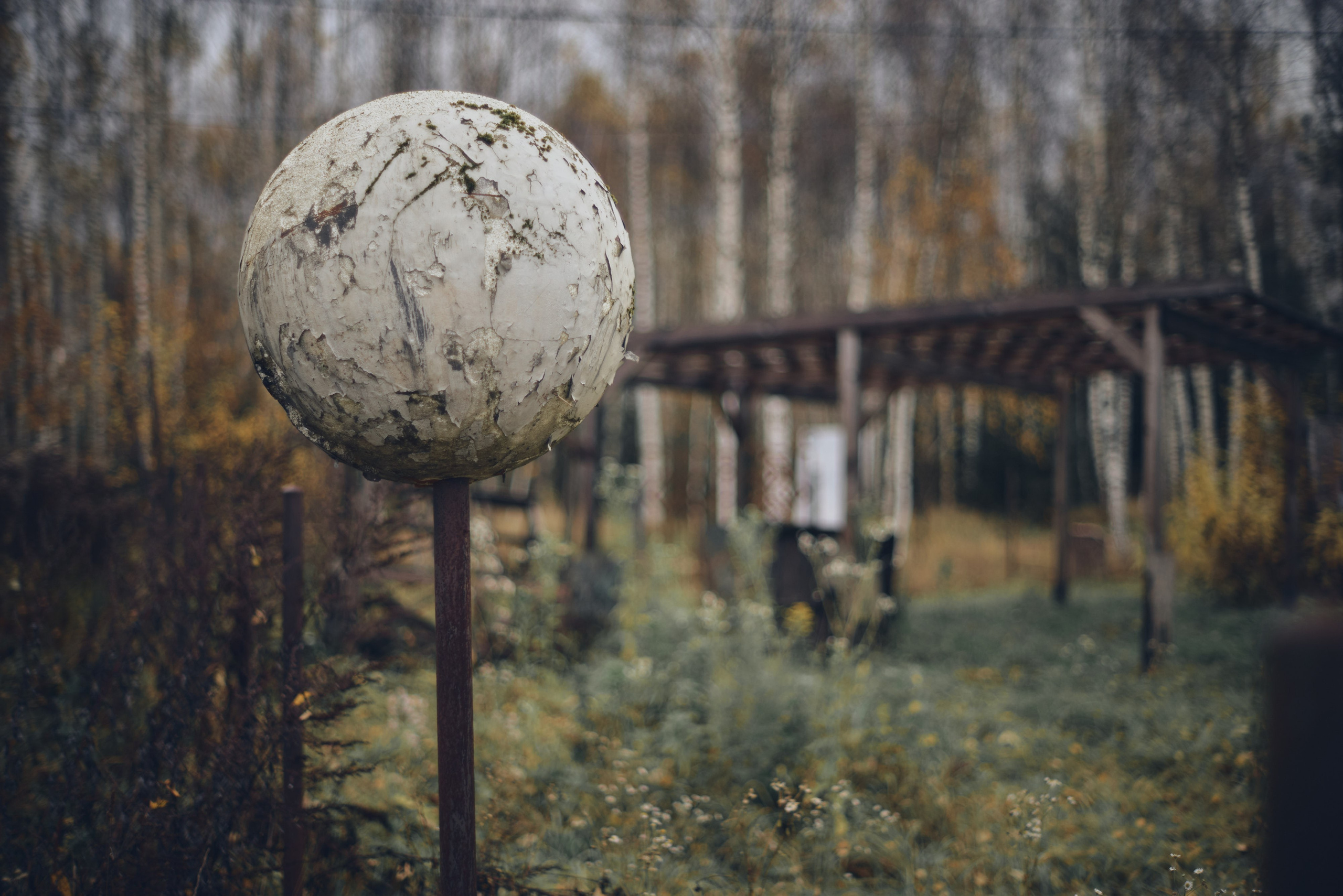 Осенние пейзажи Никола-Ленивца