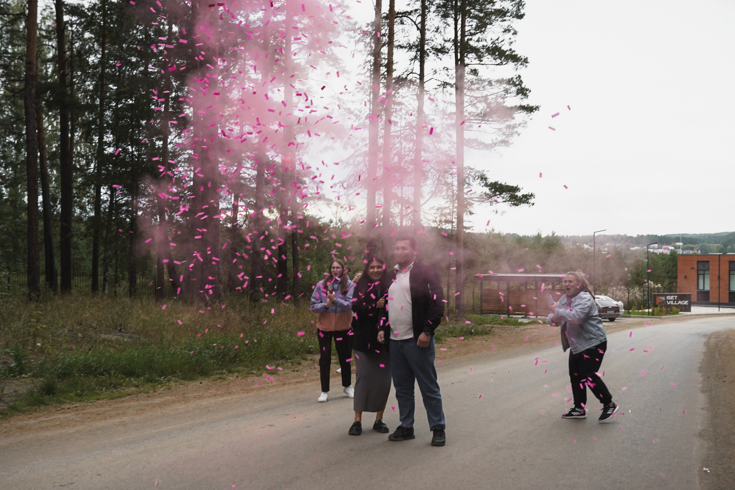 Гендер пати