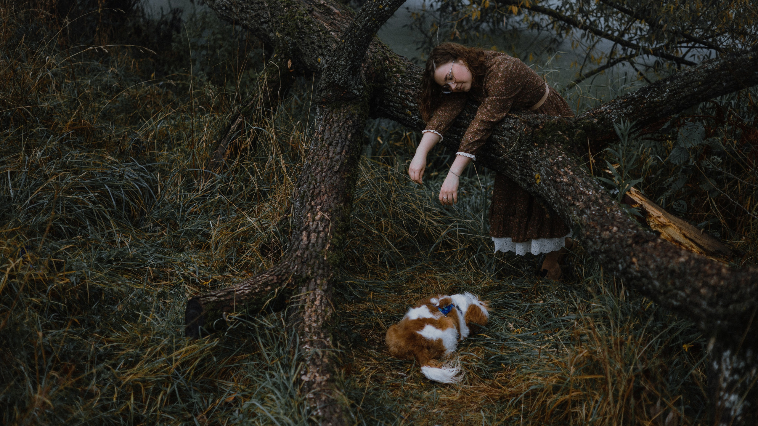 Маша и Дарси. Фотограф-анималист Богданова Полина