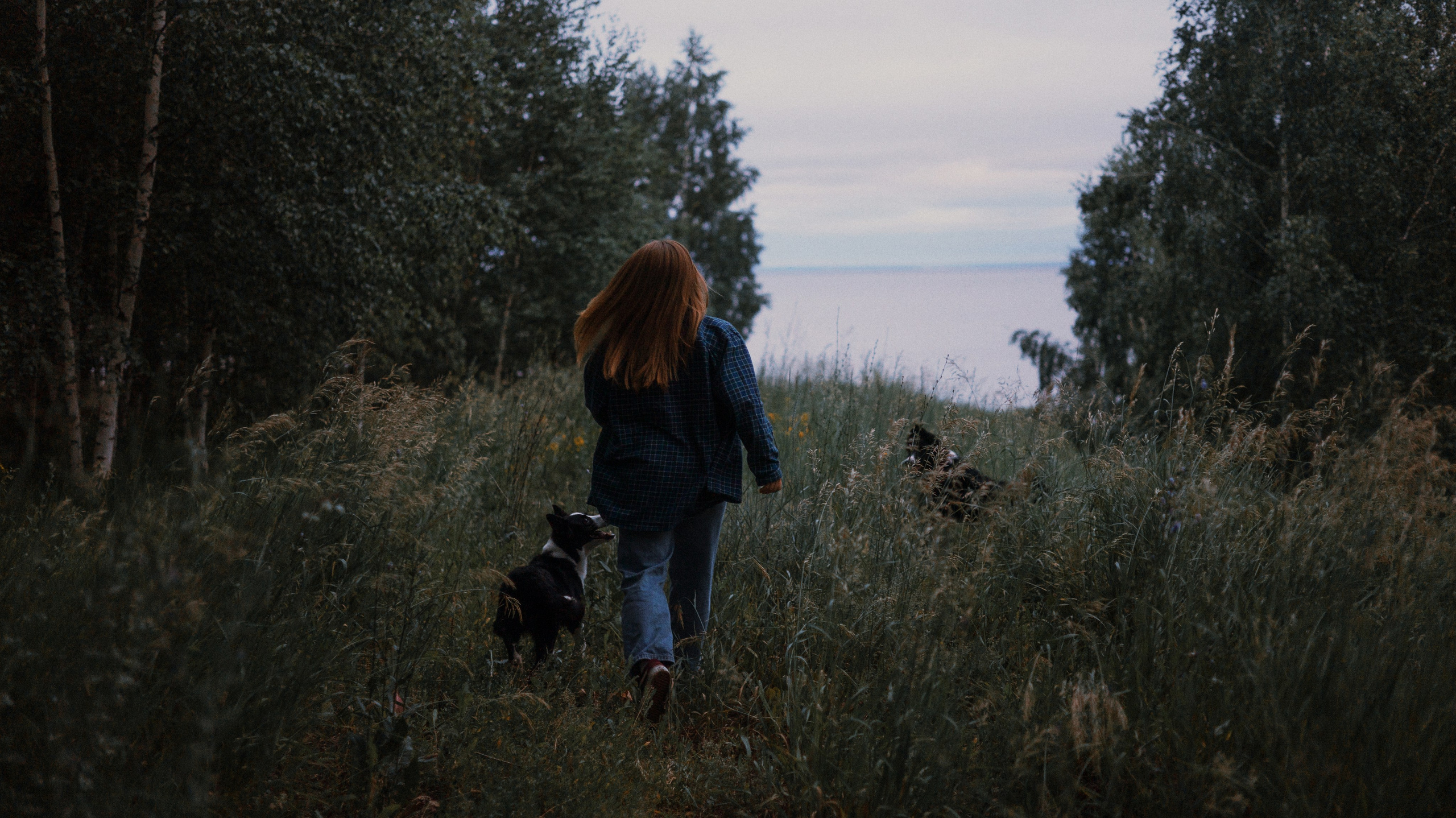 Аделя, Вандер, Шайна и Бая. Фотограф-анималист Богданова Полина