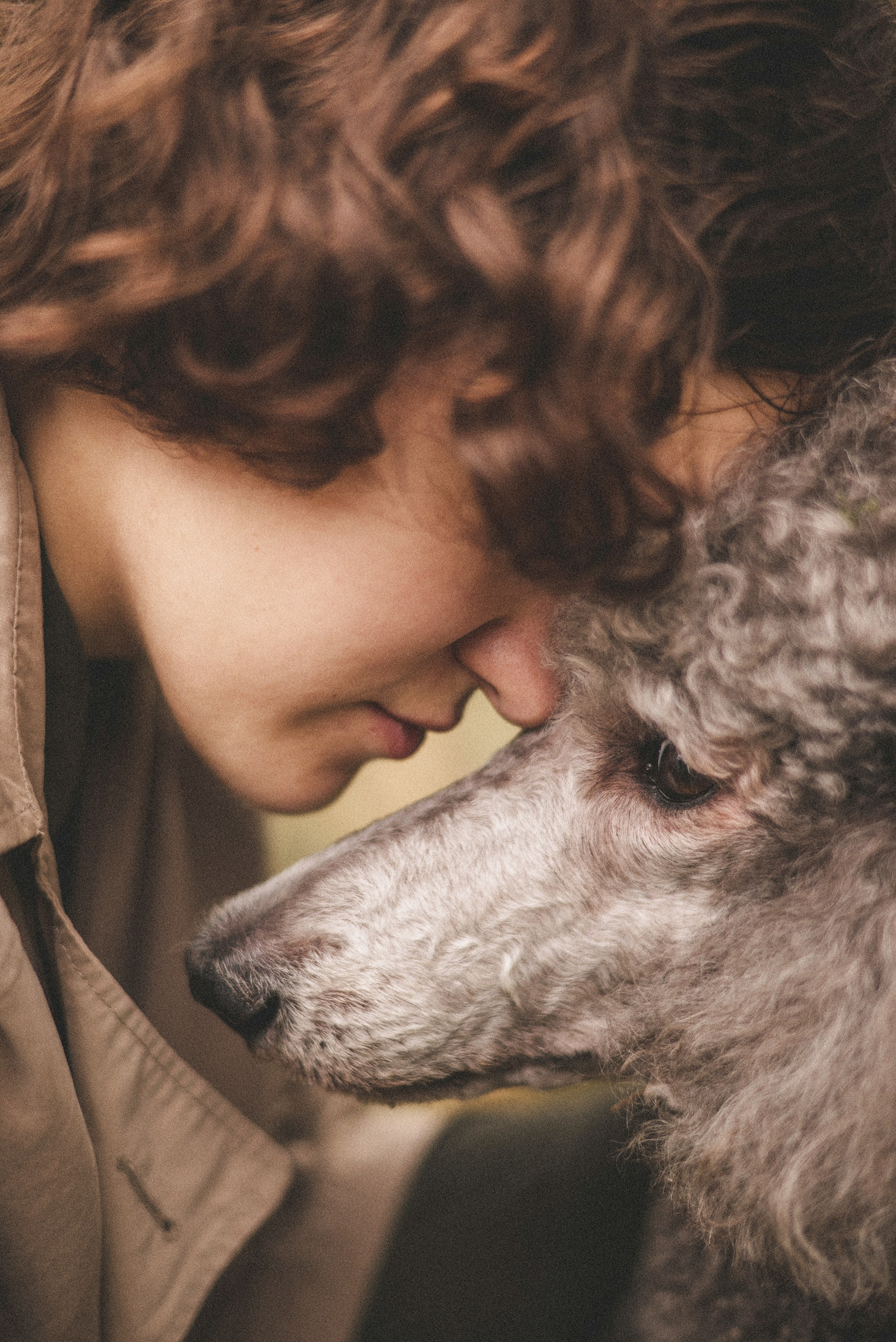 Алёна и Смоки. Фотограф-анималист Богданова Полина