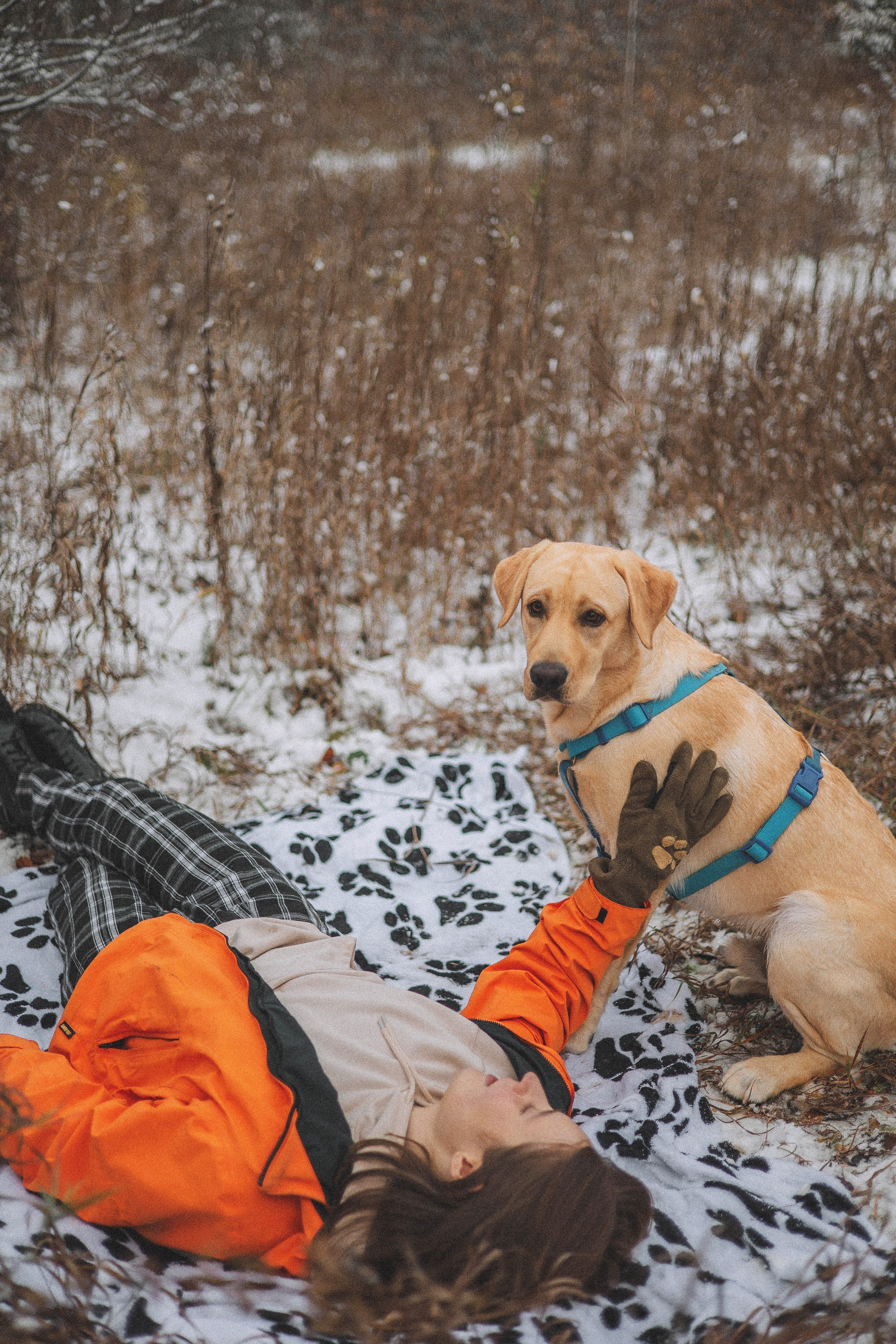 Маргарита и Варди. Фотограф-анималист Богданова Полина