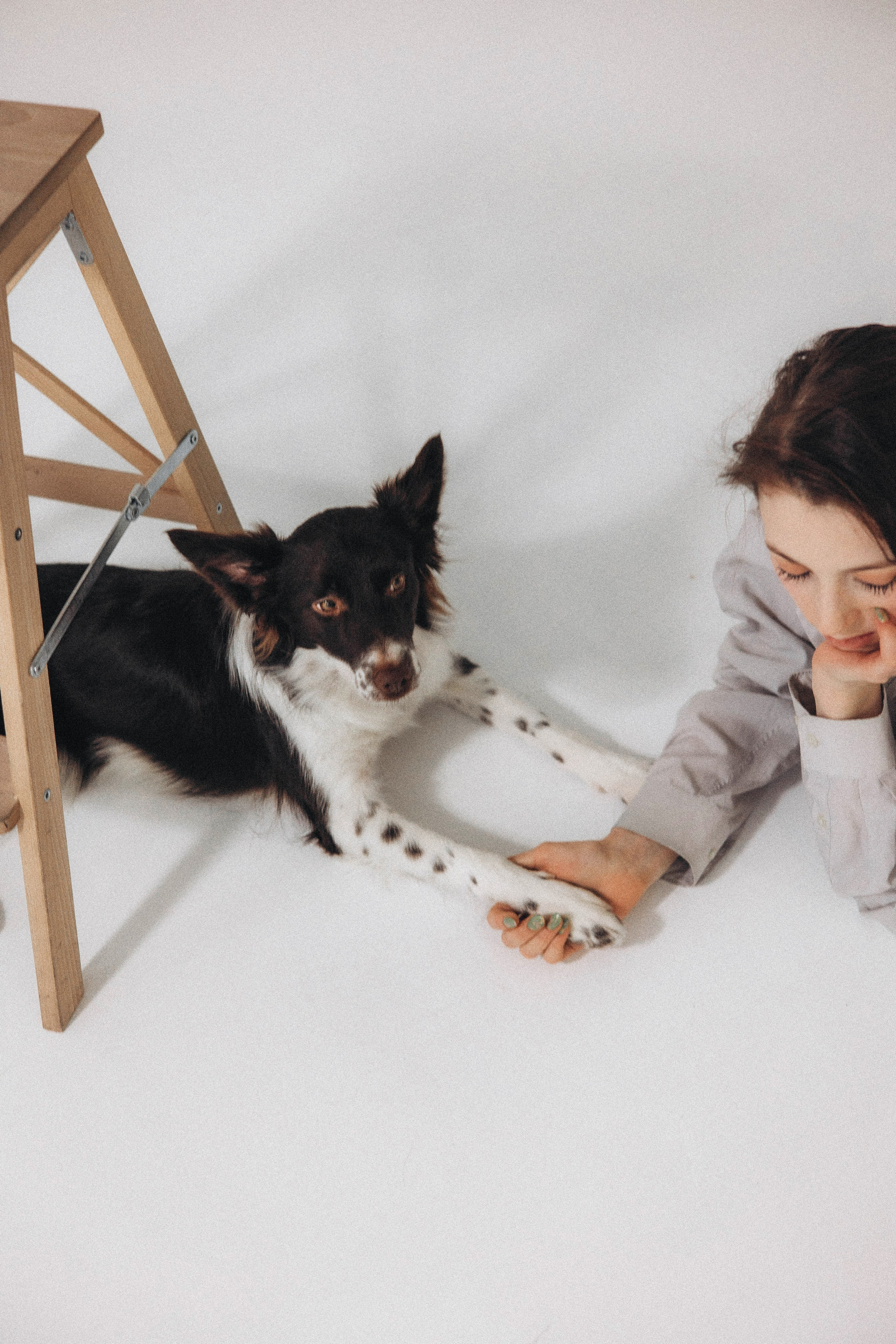 Алена и Гвендолин. Фотограф-анималист Богданова Полина