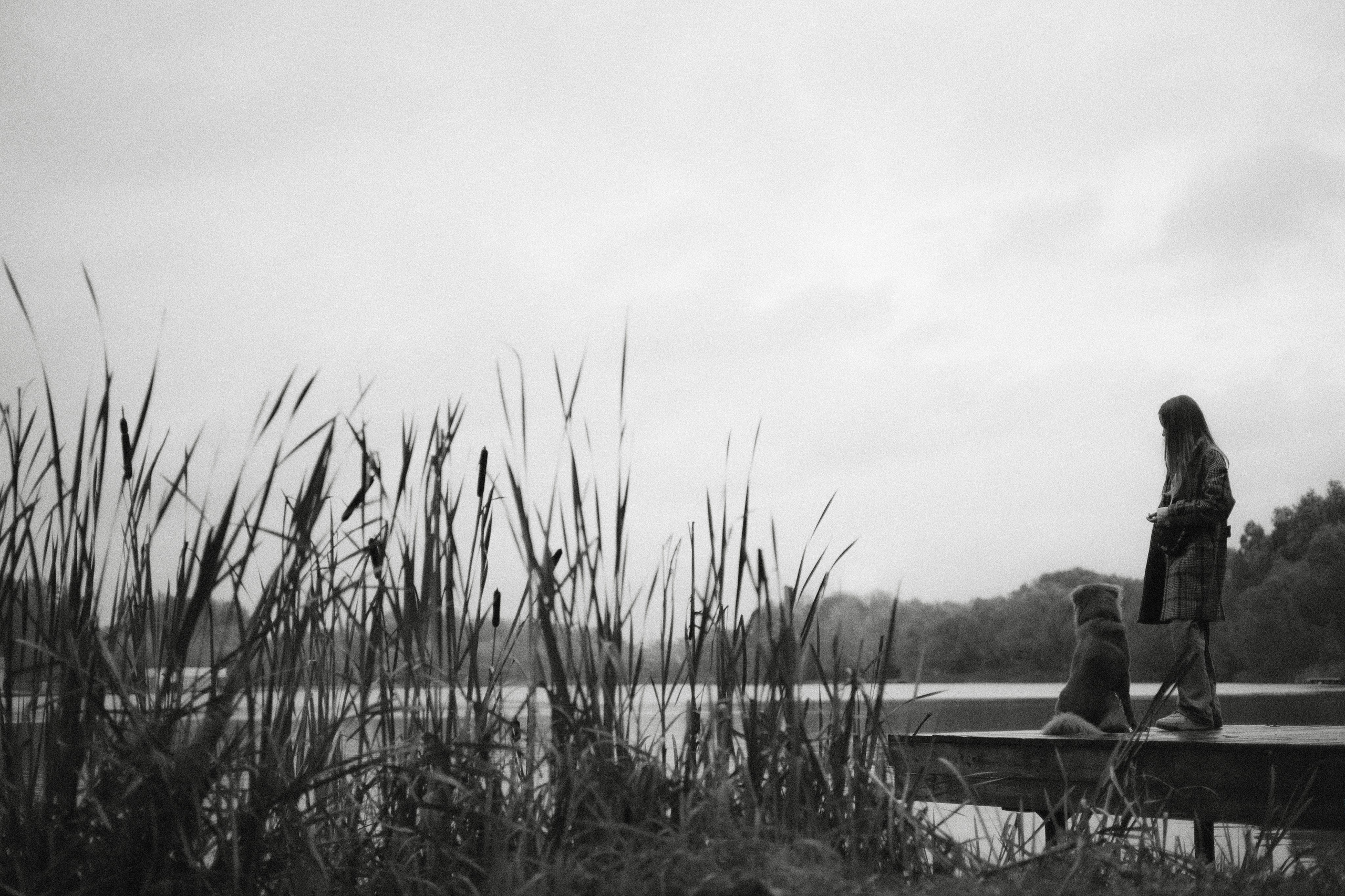 Алина и Бис. Фотограф-анималист Богданова Полина