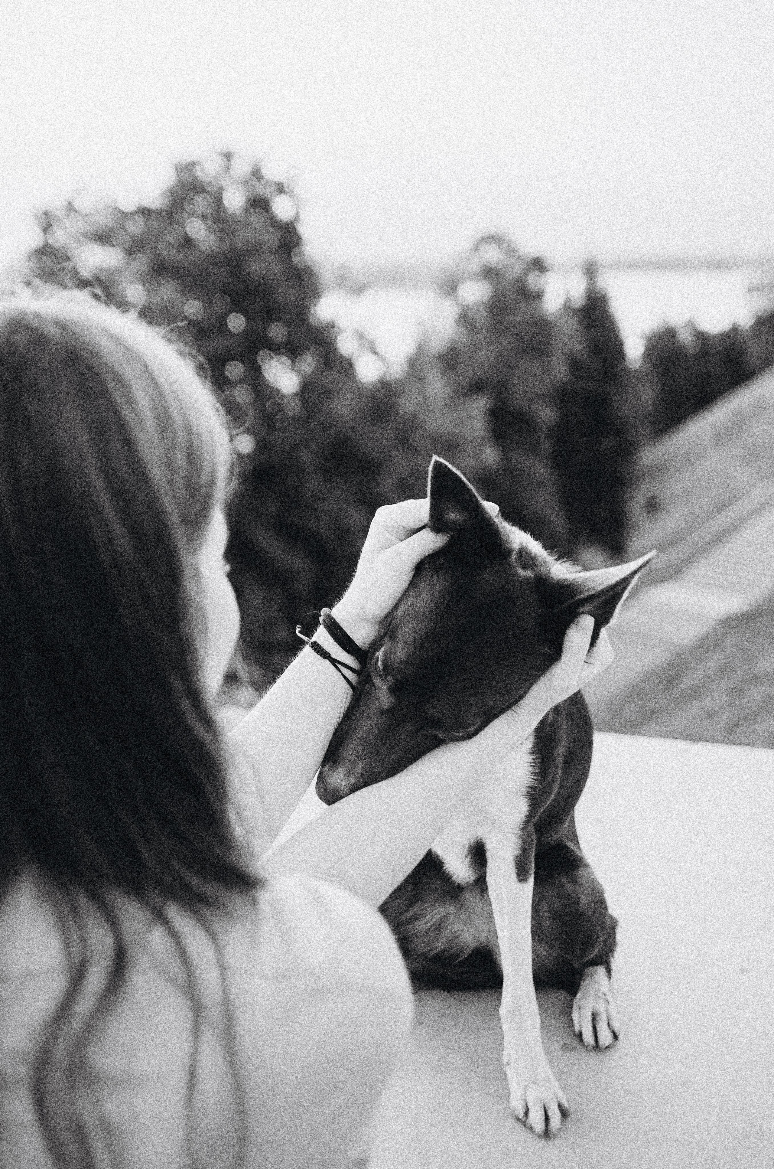 Вика и Эсса. Фотограф-анималист Богданова Полина