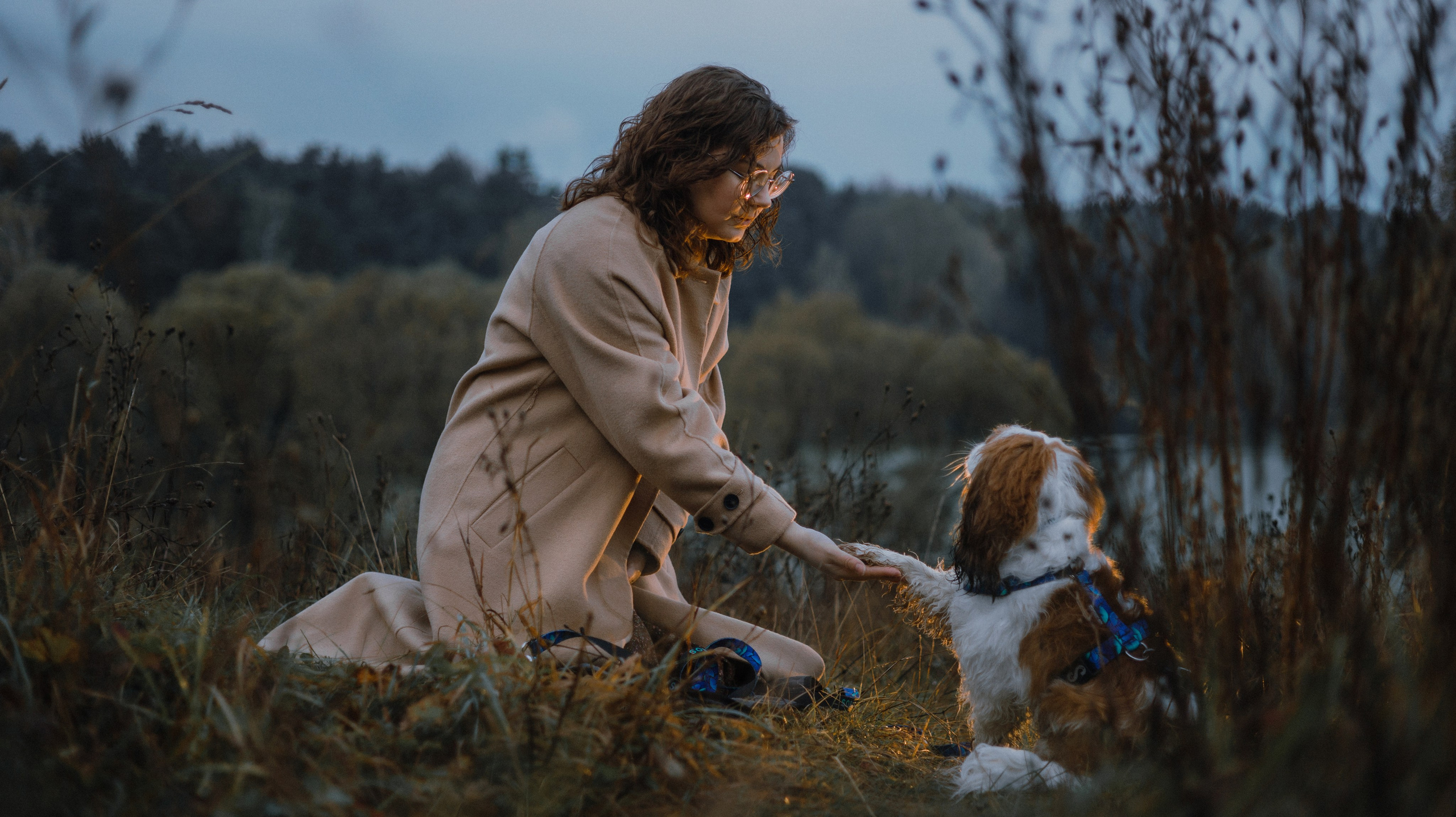 Маша и Дарси. Фотограф-анималист Богданова Полина