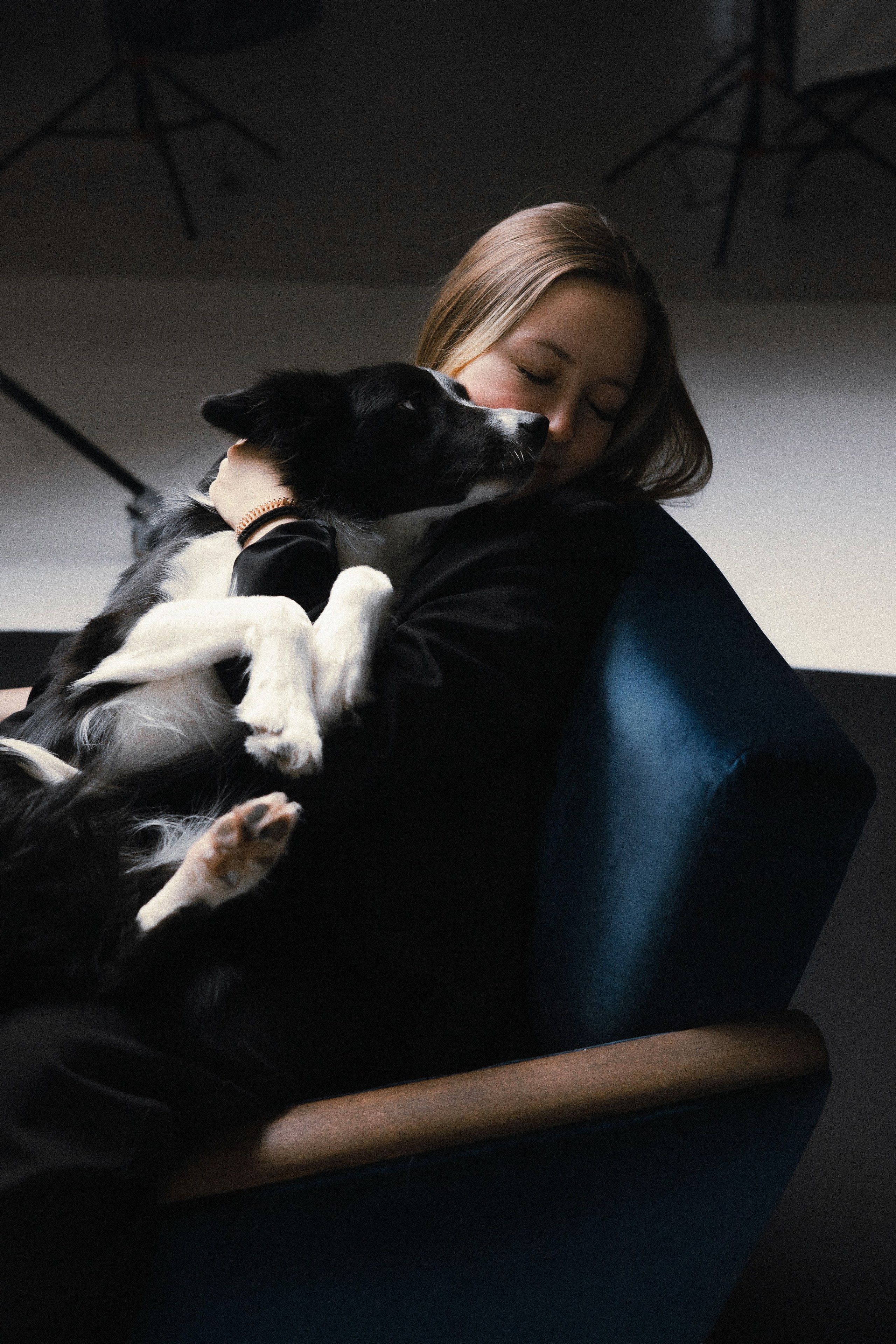 Даша, Дже и Рива. Фотограф-анималист Богданова Полина