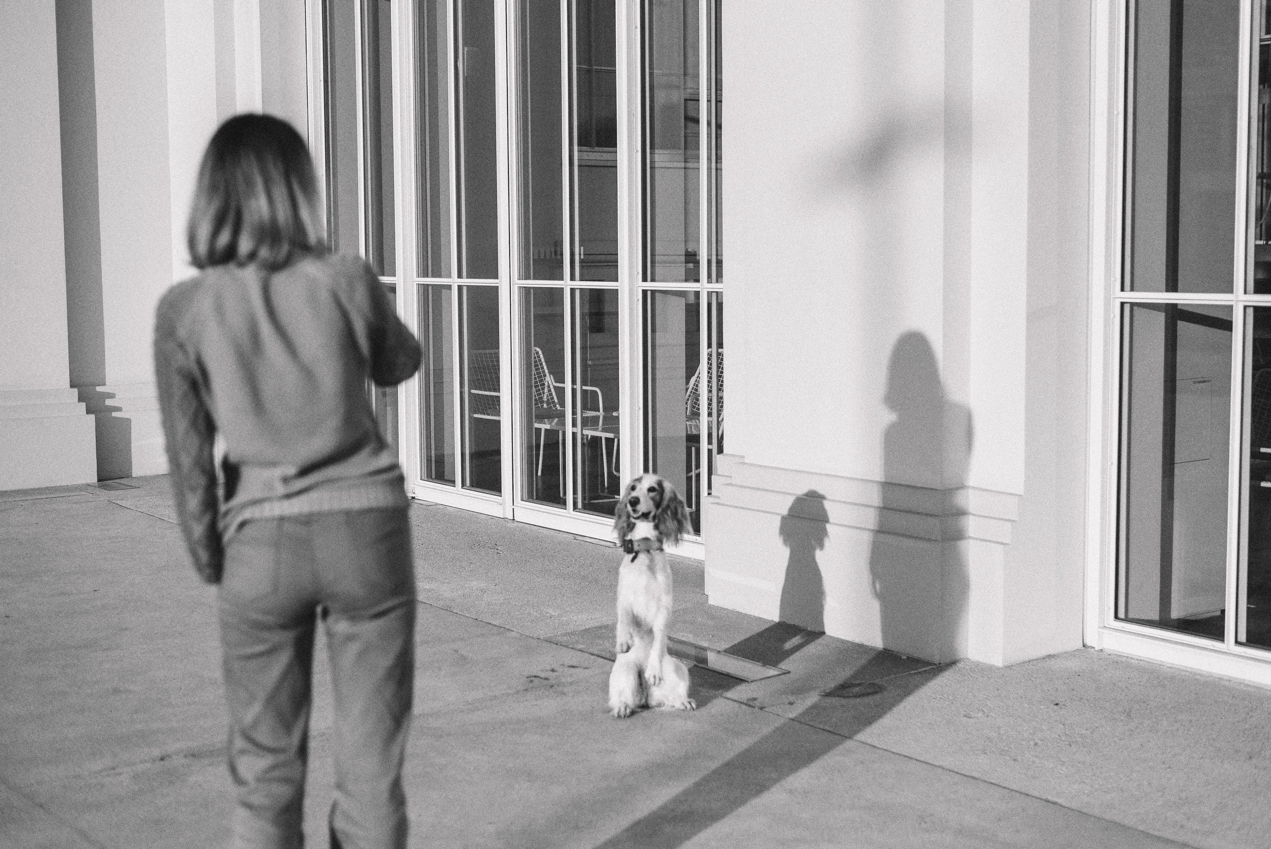 Маша и Вега. Фотограф-анималист Богданова Полина