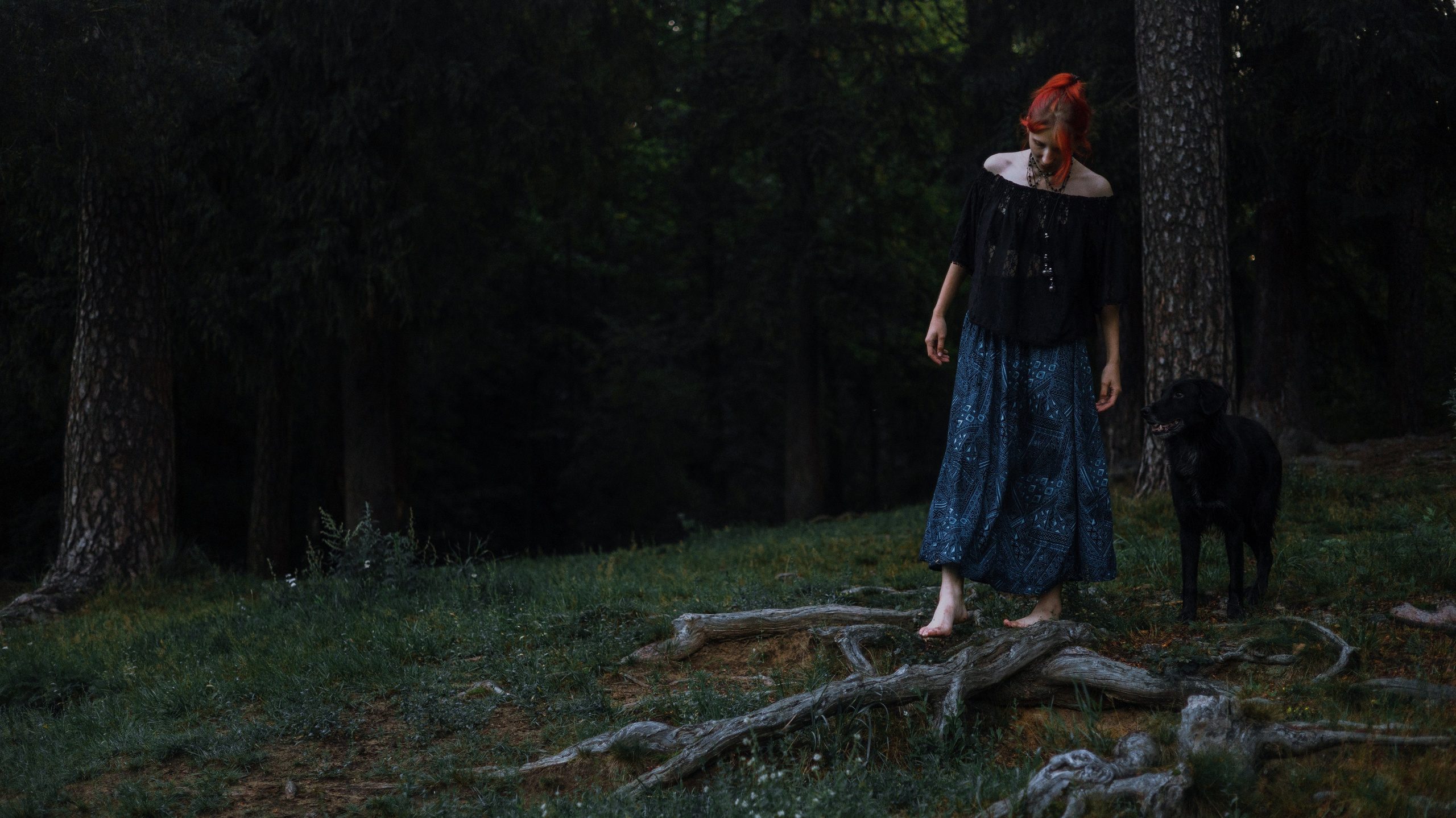 Лиза и Коди. Фотограф-анималист Богданова Полина