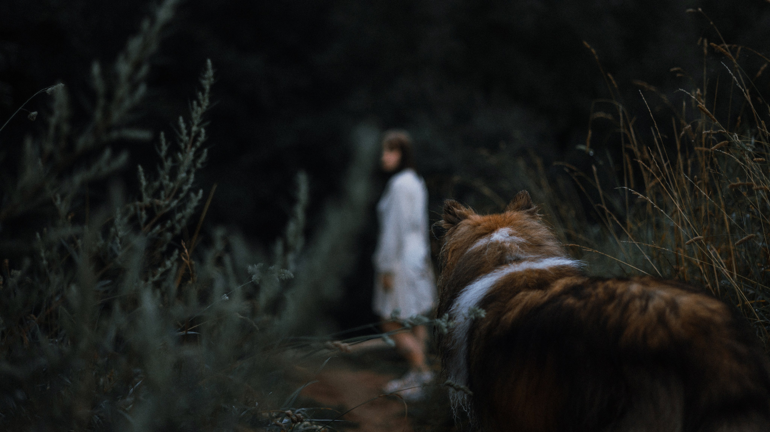 Аня и Скай. Фотограф-анималист Богданова Полина