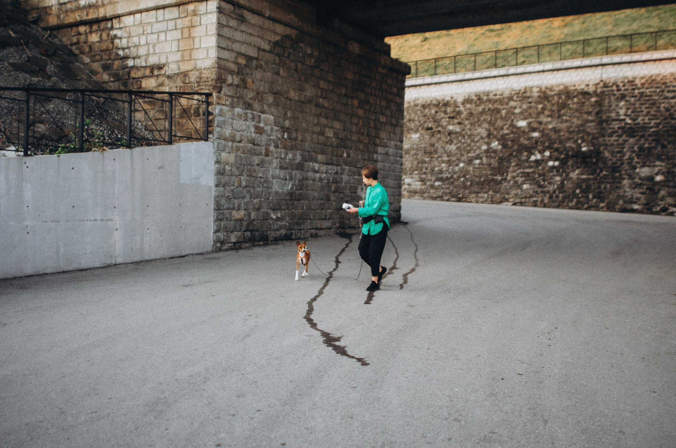 Снежана и Мэнни. Фотограф-анималист Богданова Полина