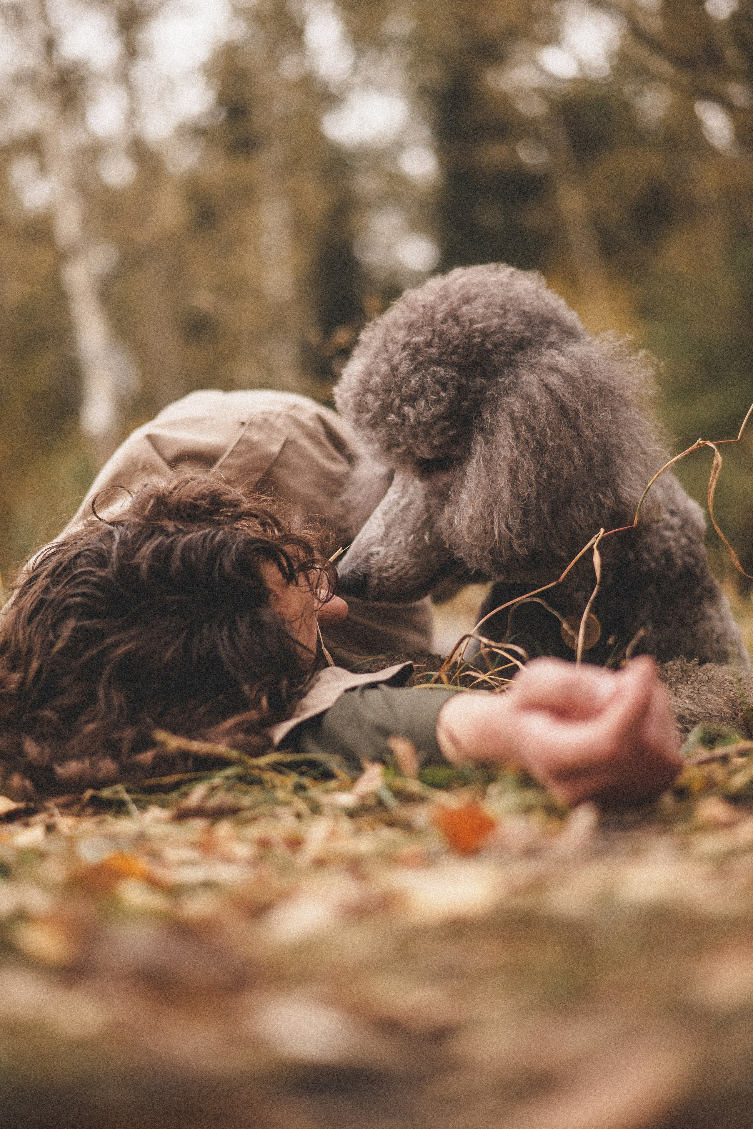 Алёна и Смоки. Фотограф-анималист Богданова Полина