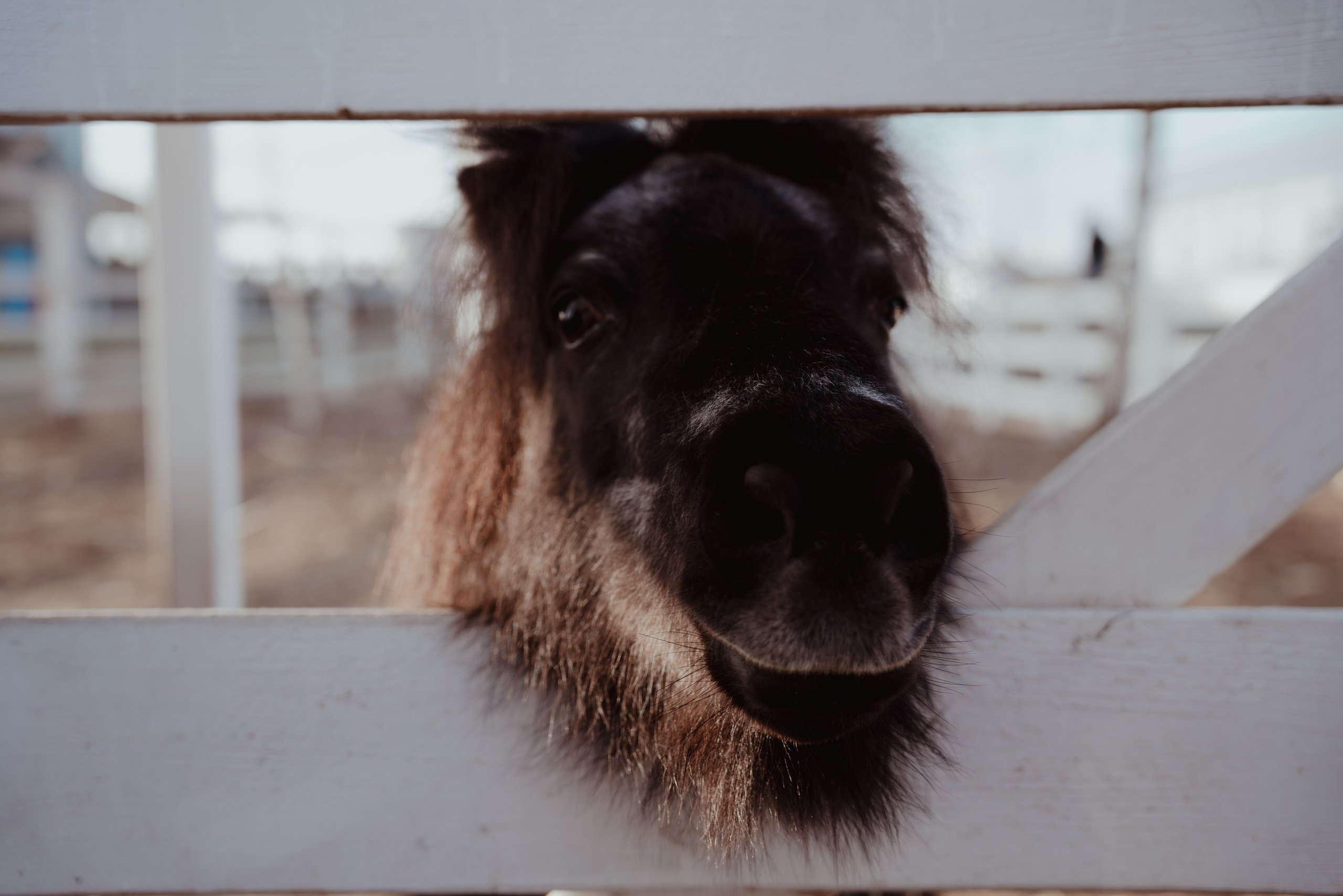 Кино. Концептуальный фотограф Шлыкова Ольга